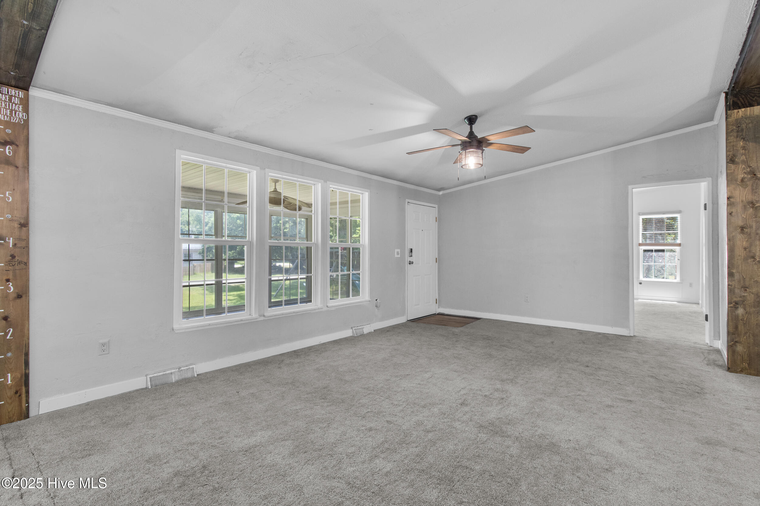 100515334 | Photo 14