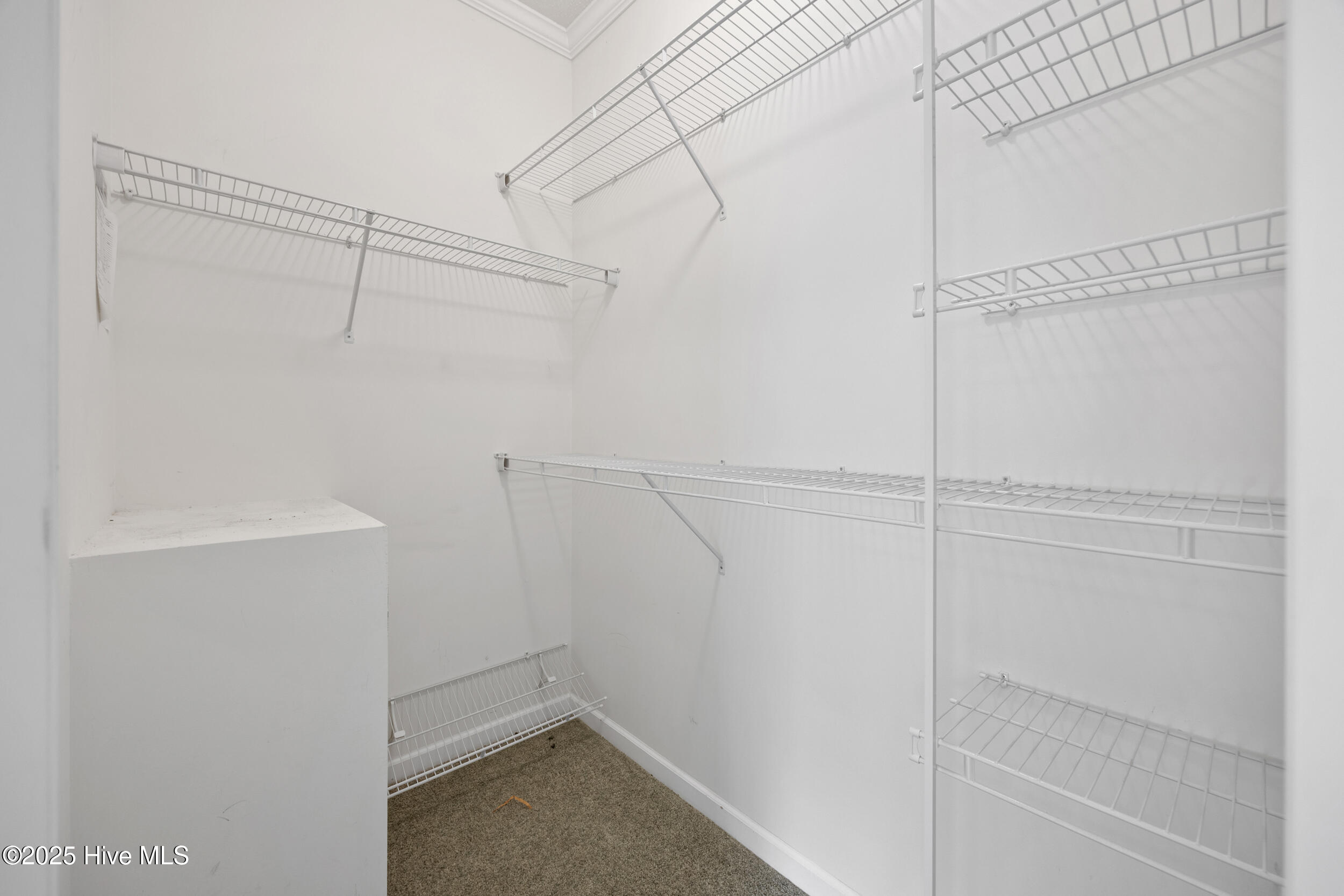 115 Windsor Lane, Edenton, NC, 27932