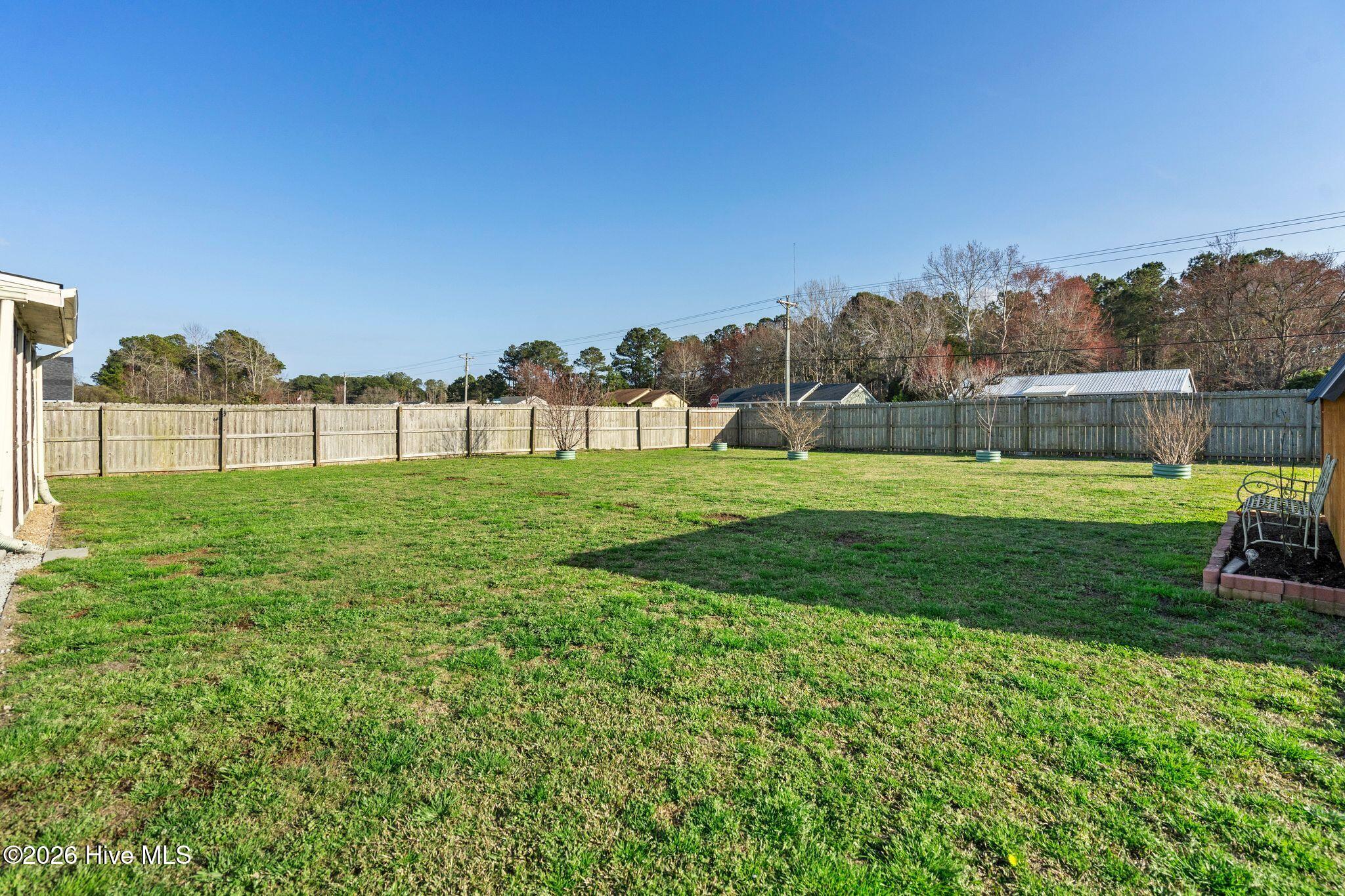 100559181 | Photo 41