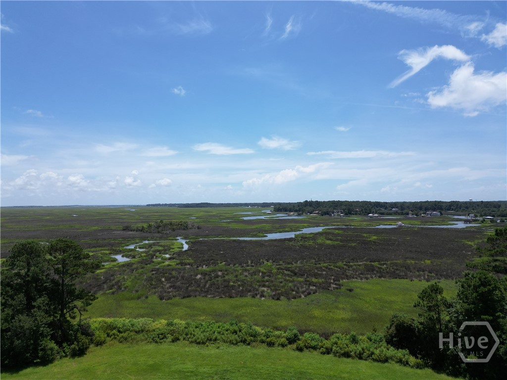 0 Riverview Drive, Savannah, GA, 31410