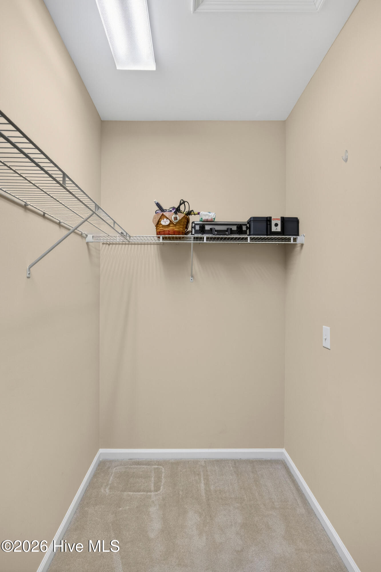 100563500 | Photo 29