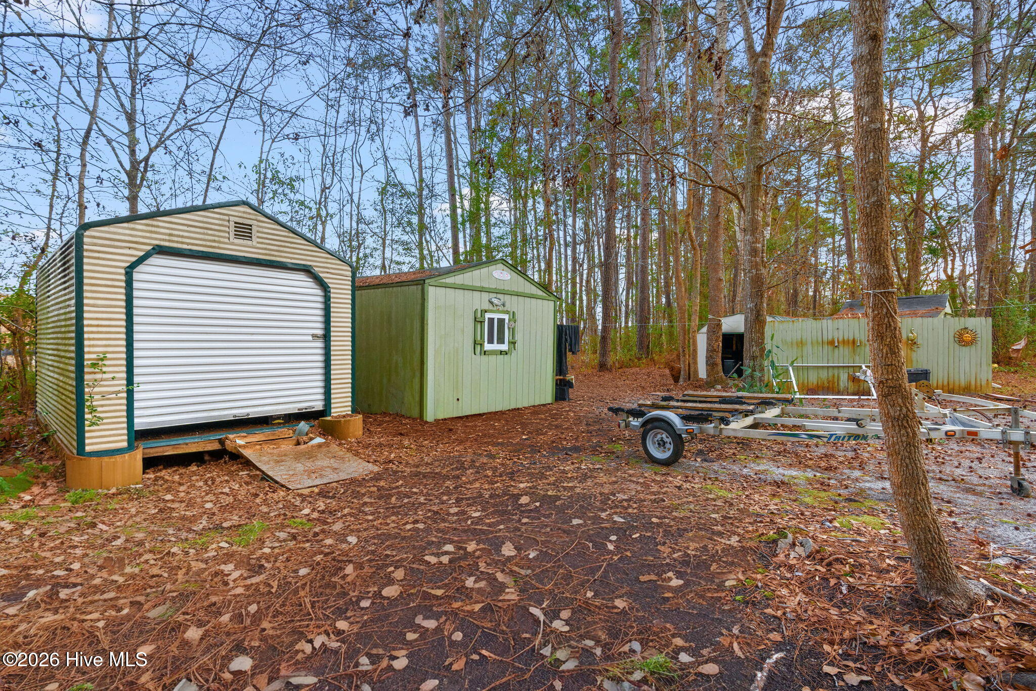 100557144 | Photo 30