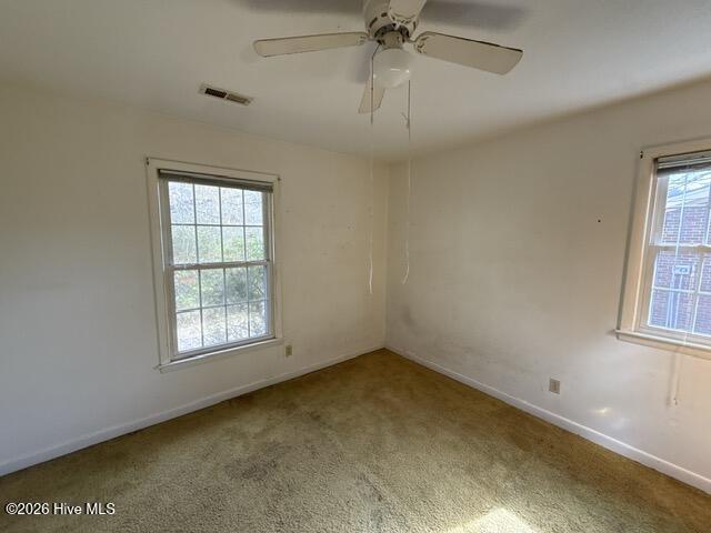 100561213 | Photo 20