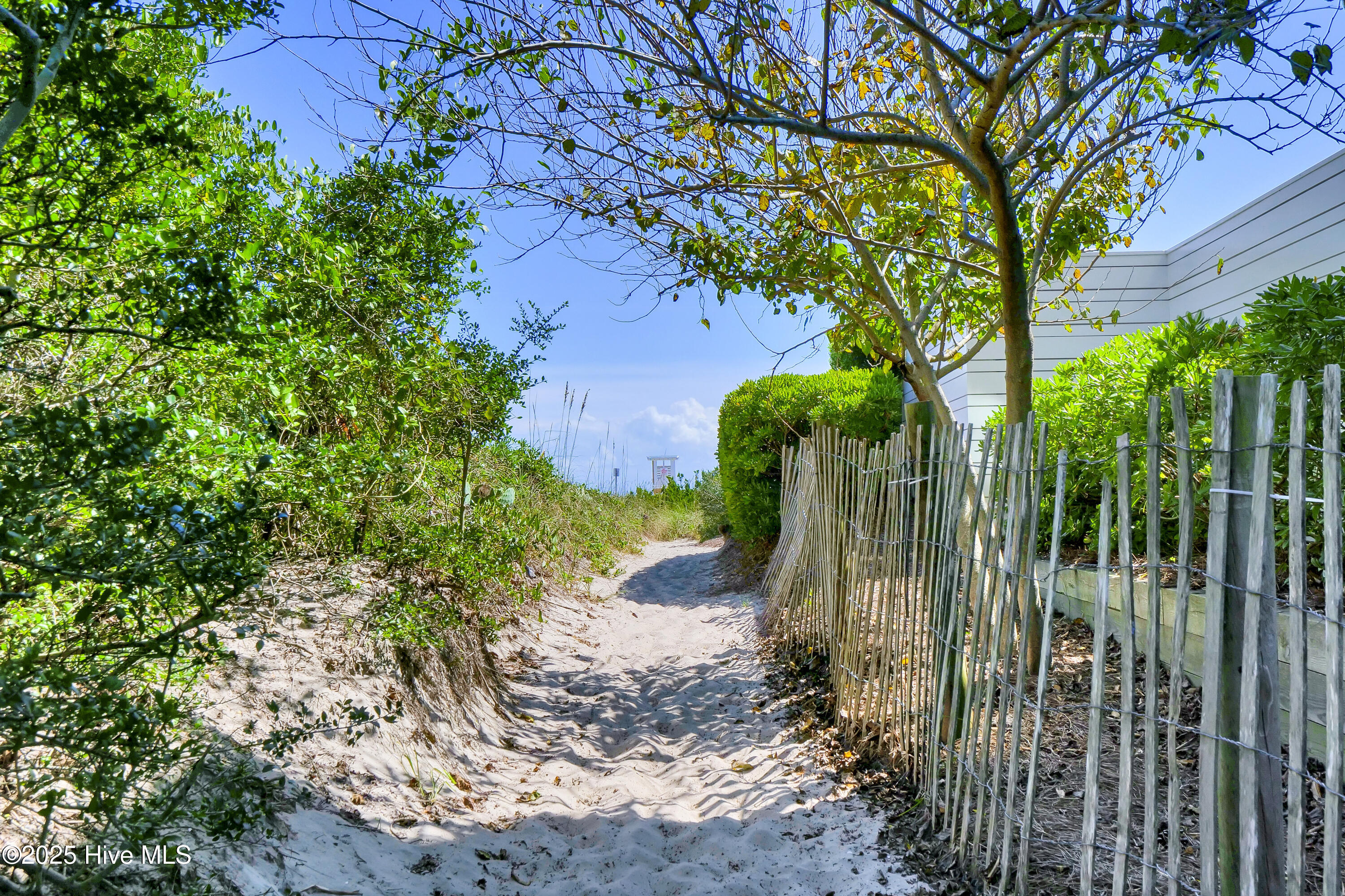 100525301 | Photo 69