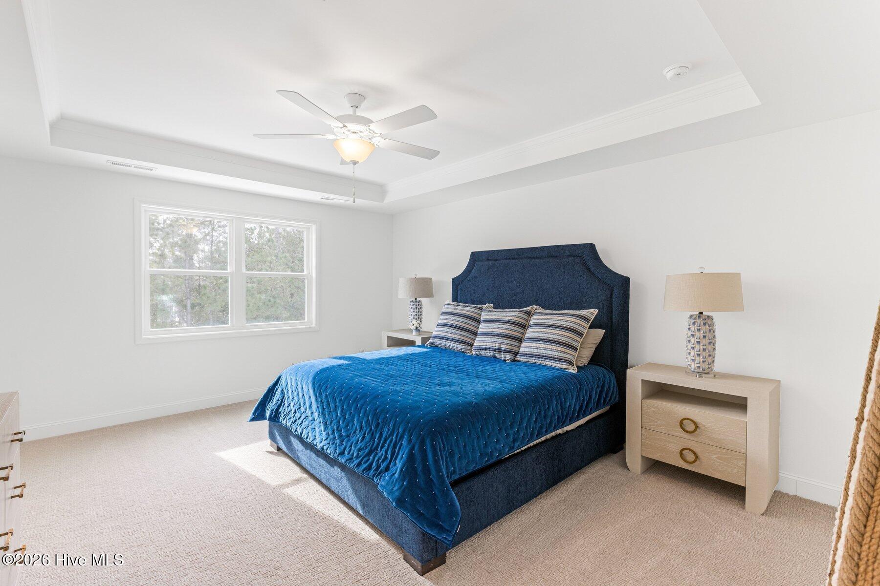 100532132 | Photo 36