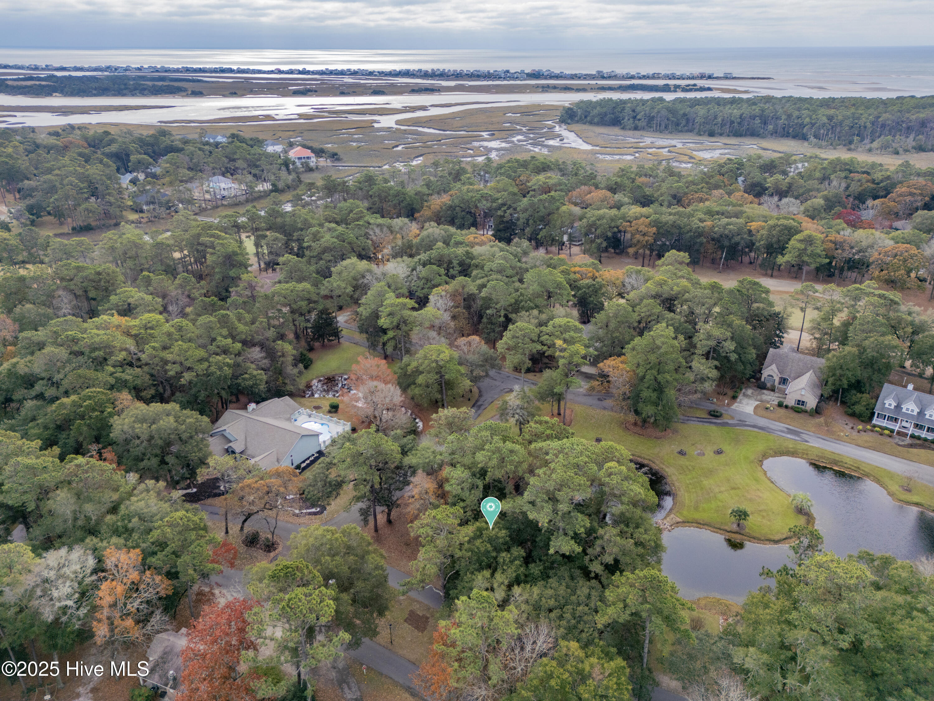 100542577 | Photo 11