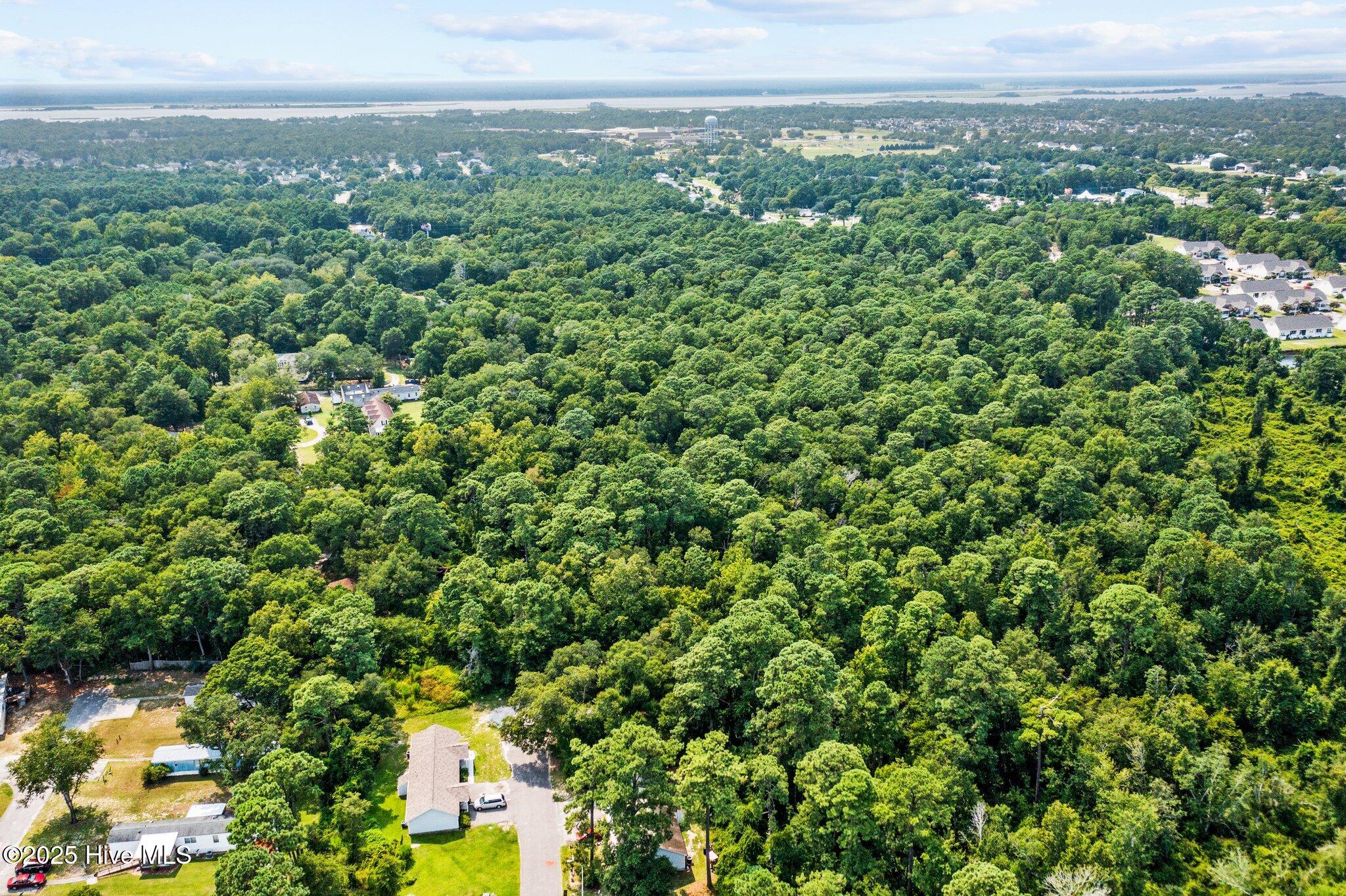 100502758 | Photo 10