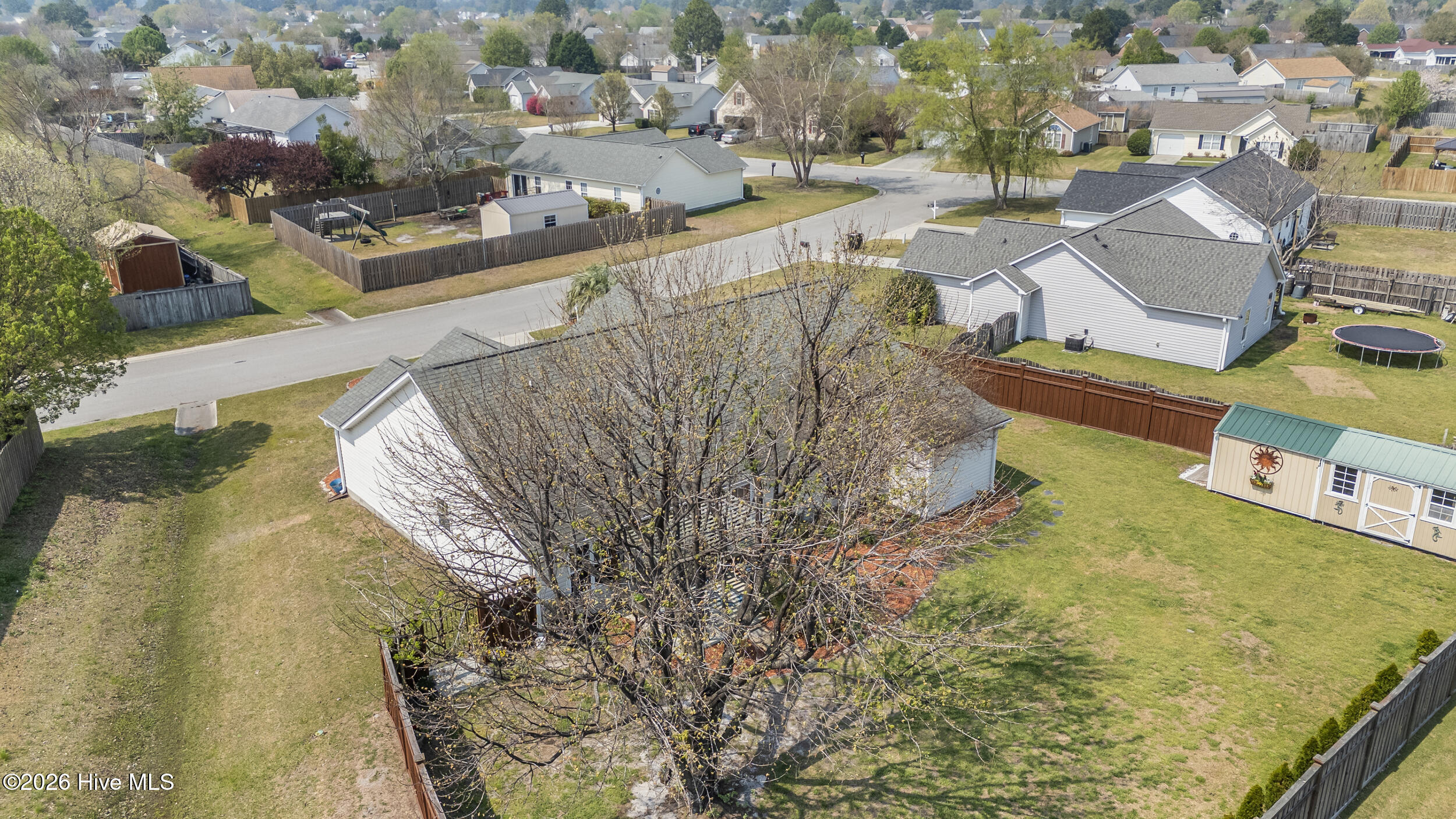 100562673 | Photo 43