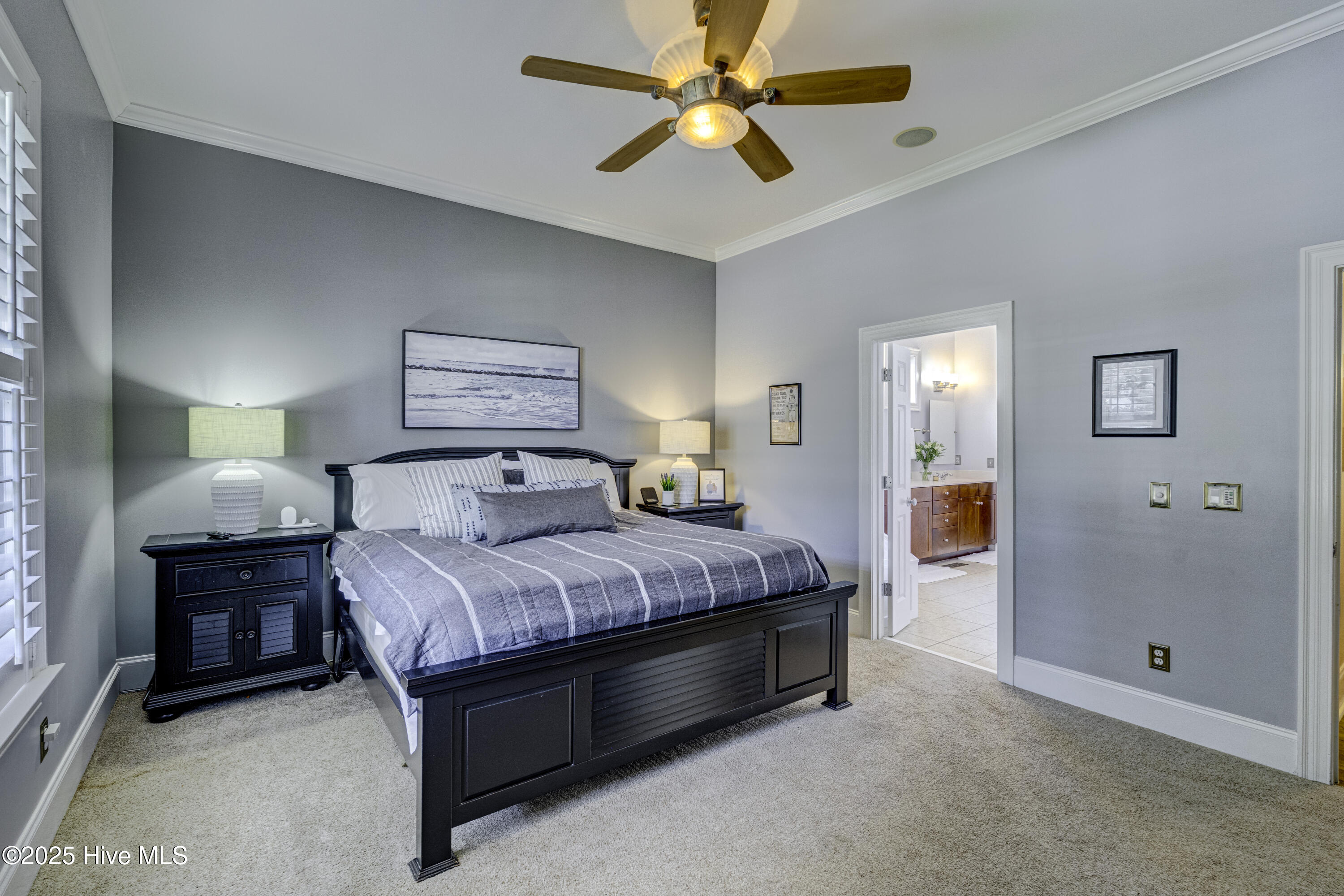 100535158 | Photo 35