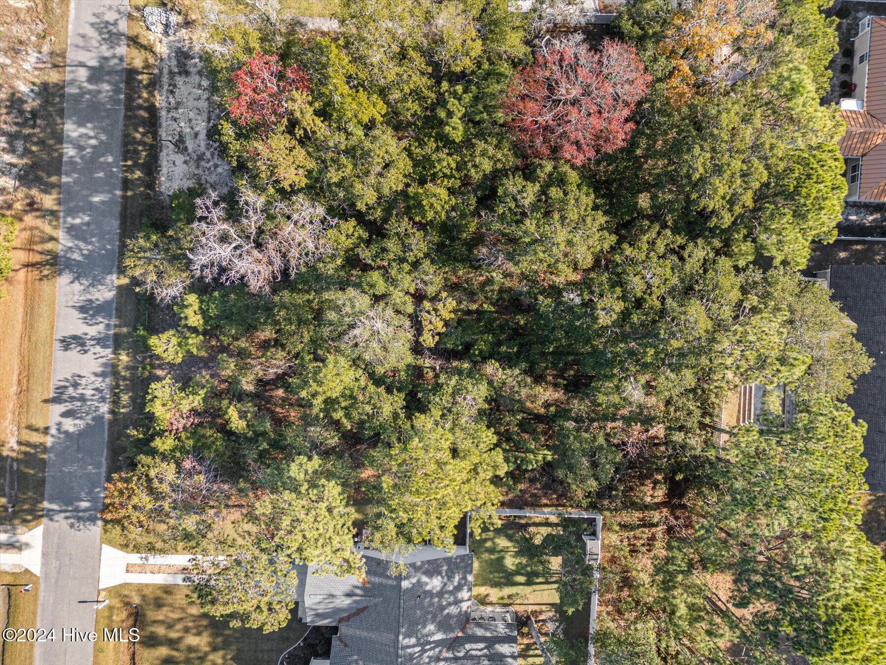 100515851 | Photo 10