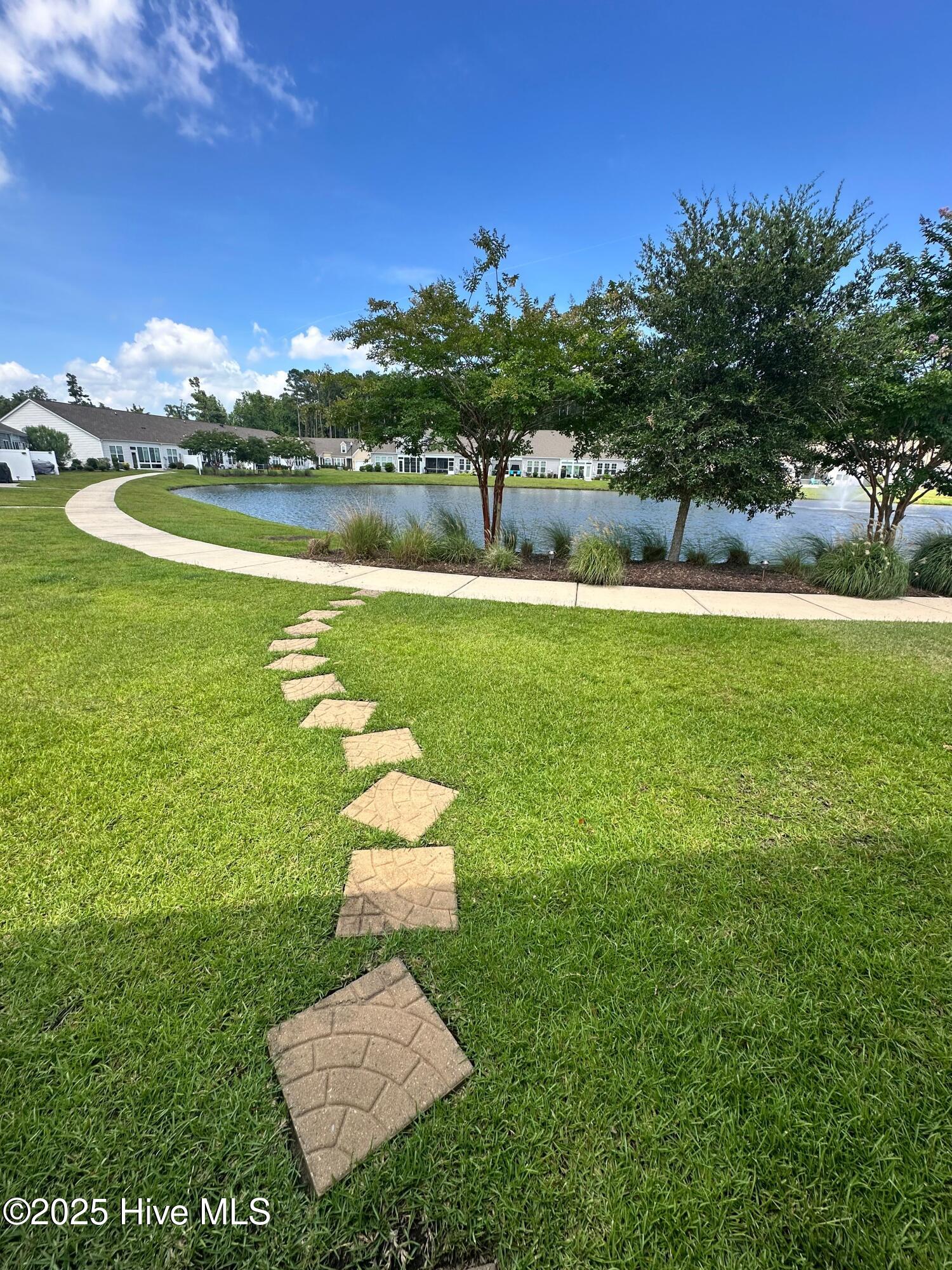 100554847 | Photo 36