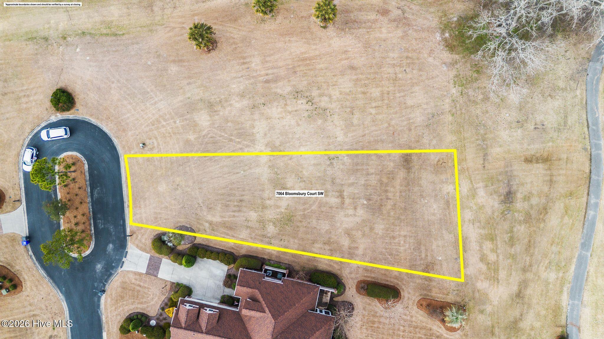 100555855 | Photo 14