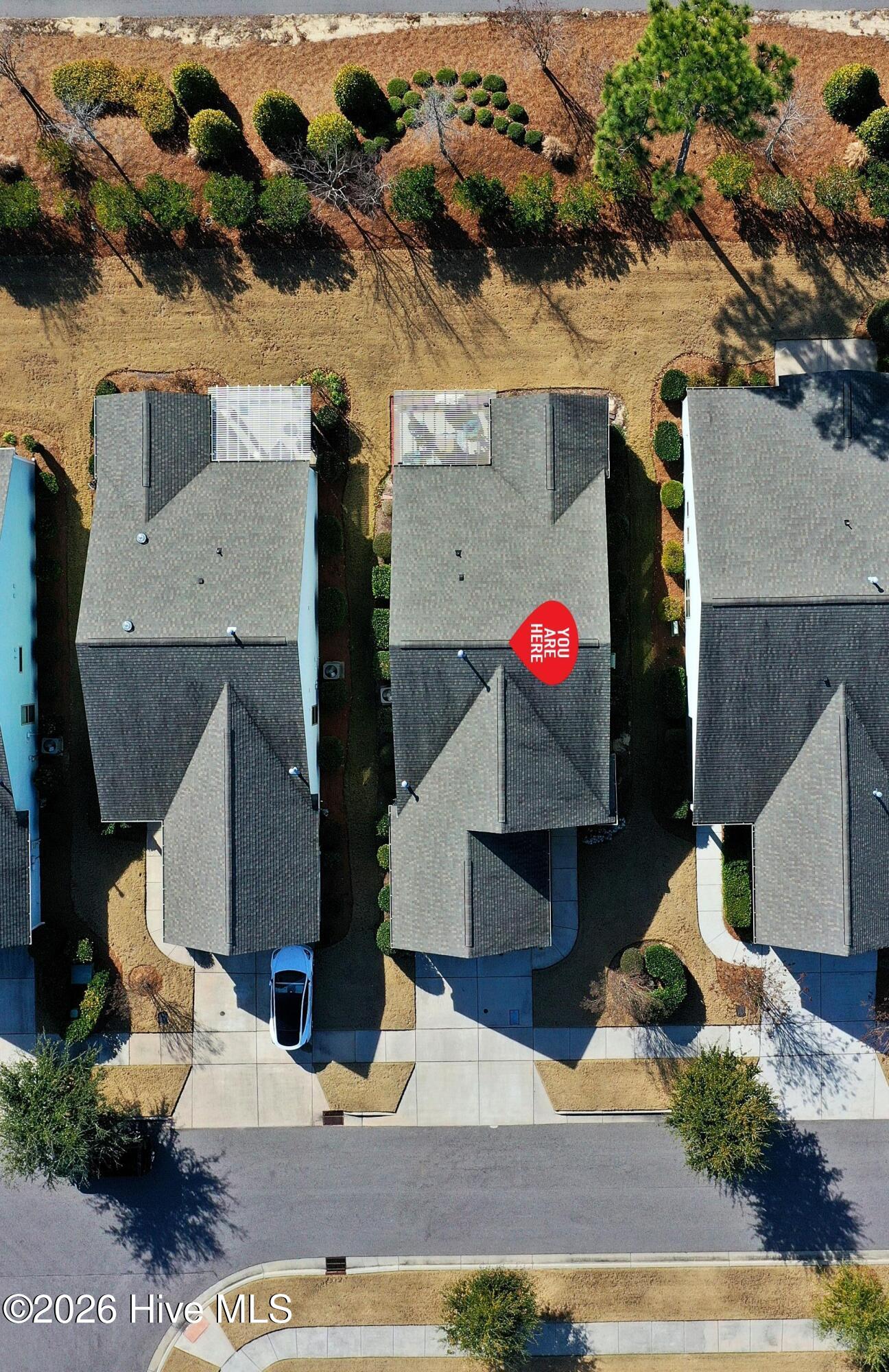 100549696 | Photo 36