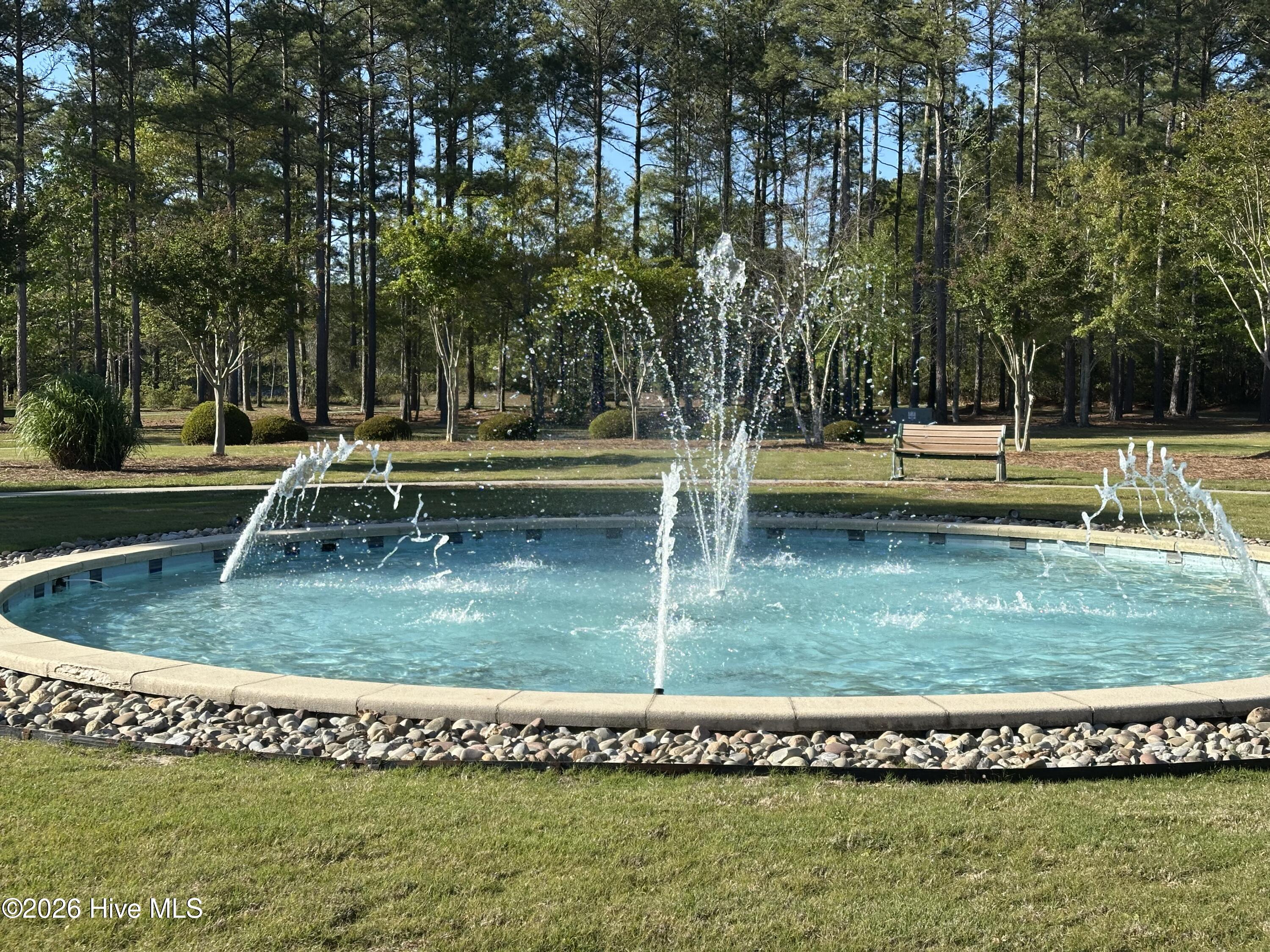 100565130 | Photo 61