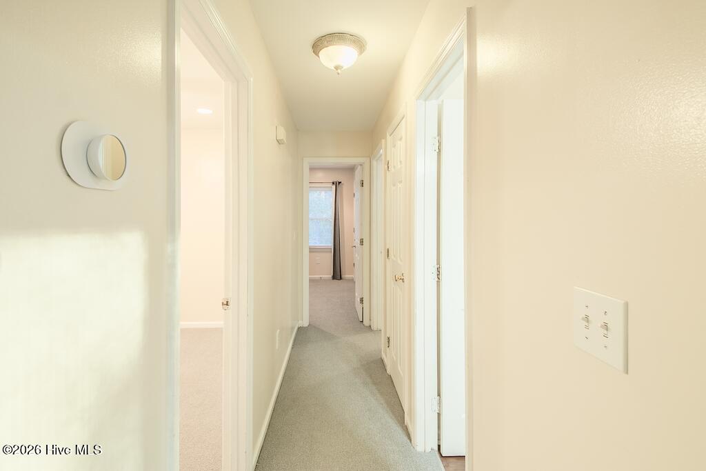 100536821 | Photo 14