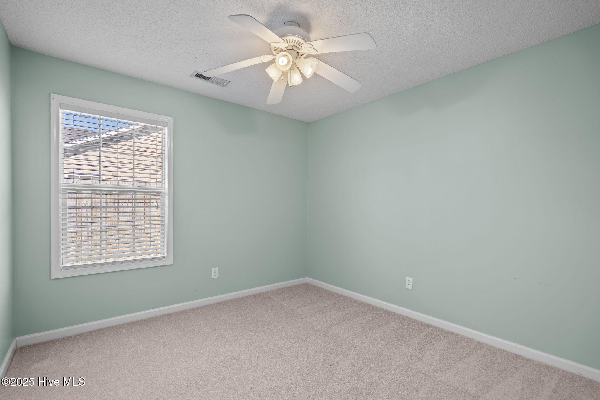 100537991 | Photo 24