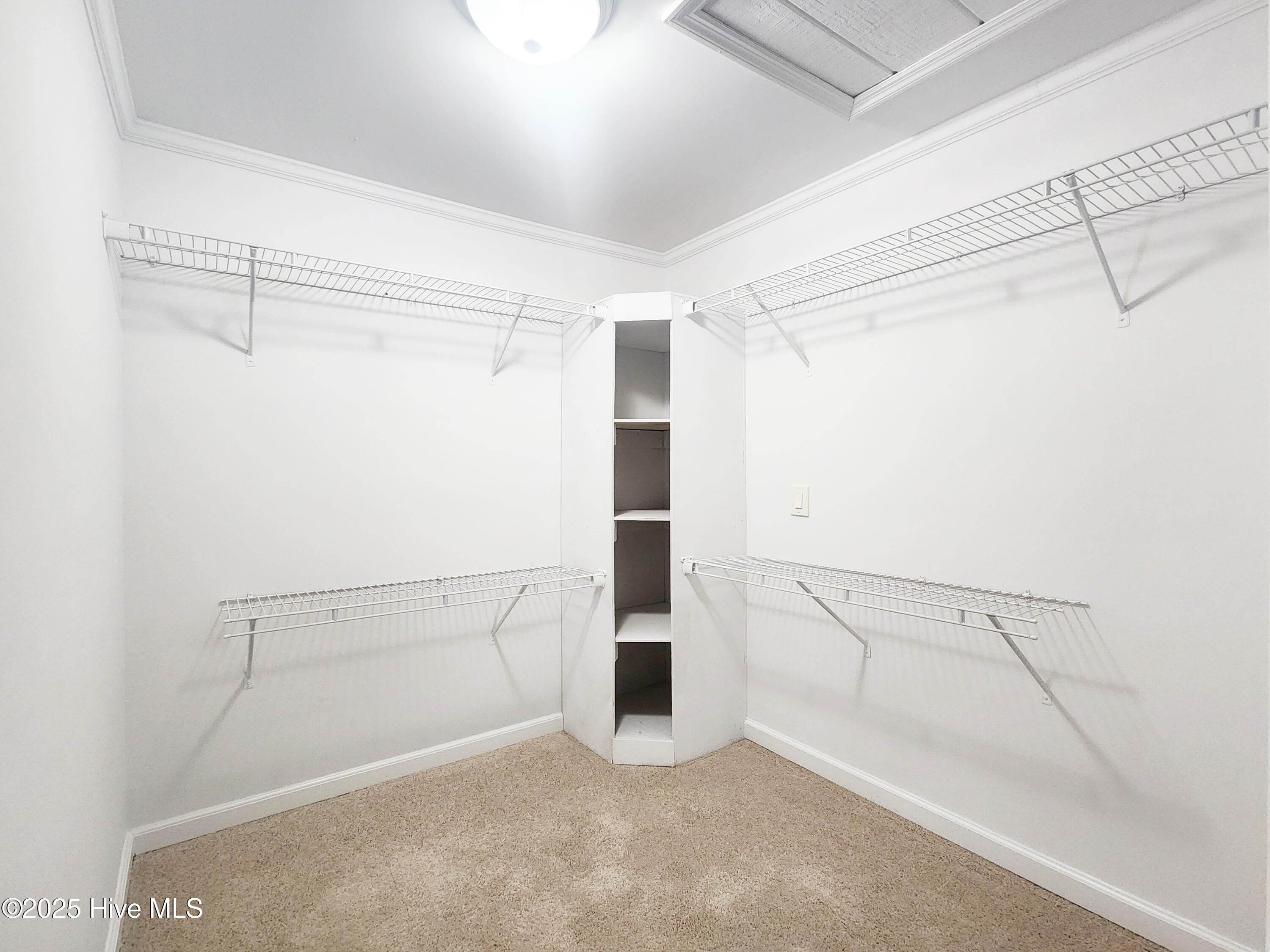 100545586 | Photo 35