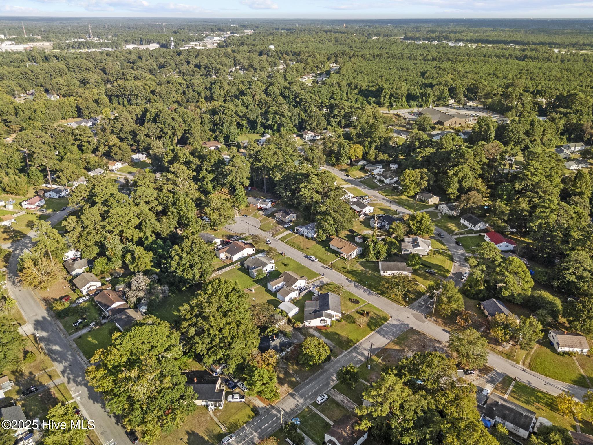 100532196 | Photo 46