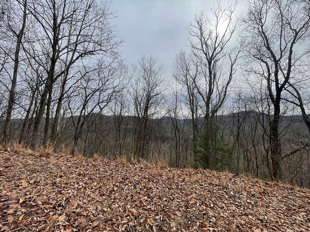 Exterior photo of TBD Chimney Top Trail, Murphy, NC 28906. MLS: 98519548