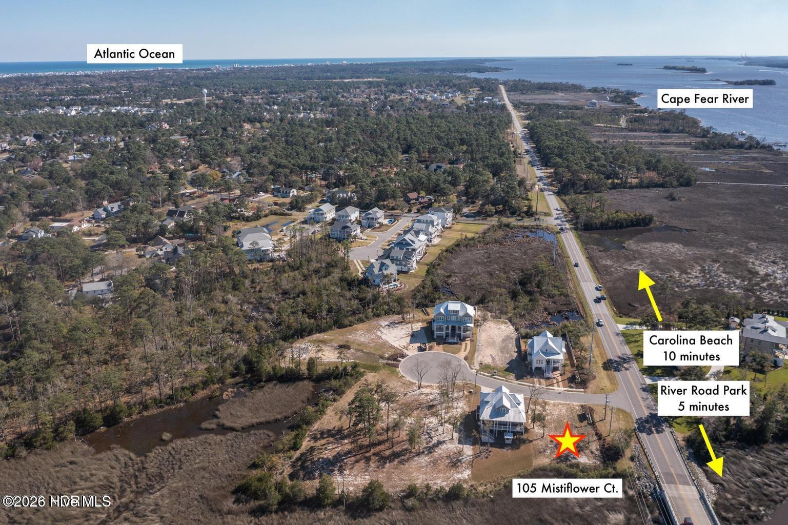 100564831 | Photo 12