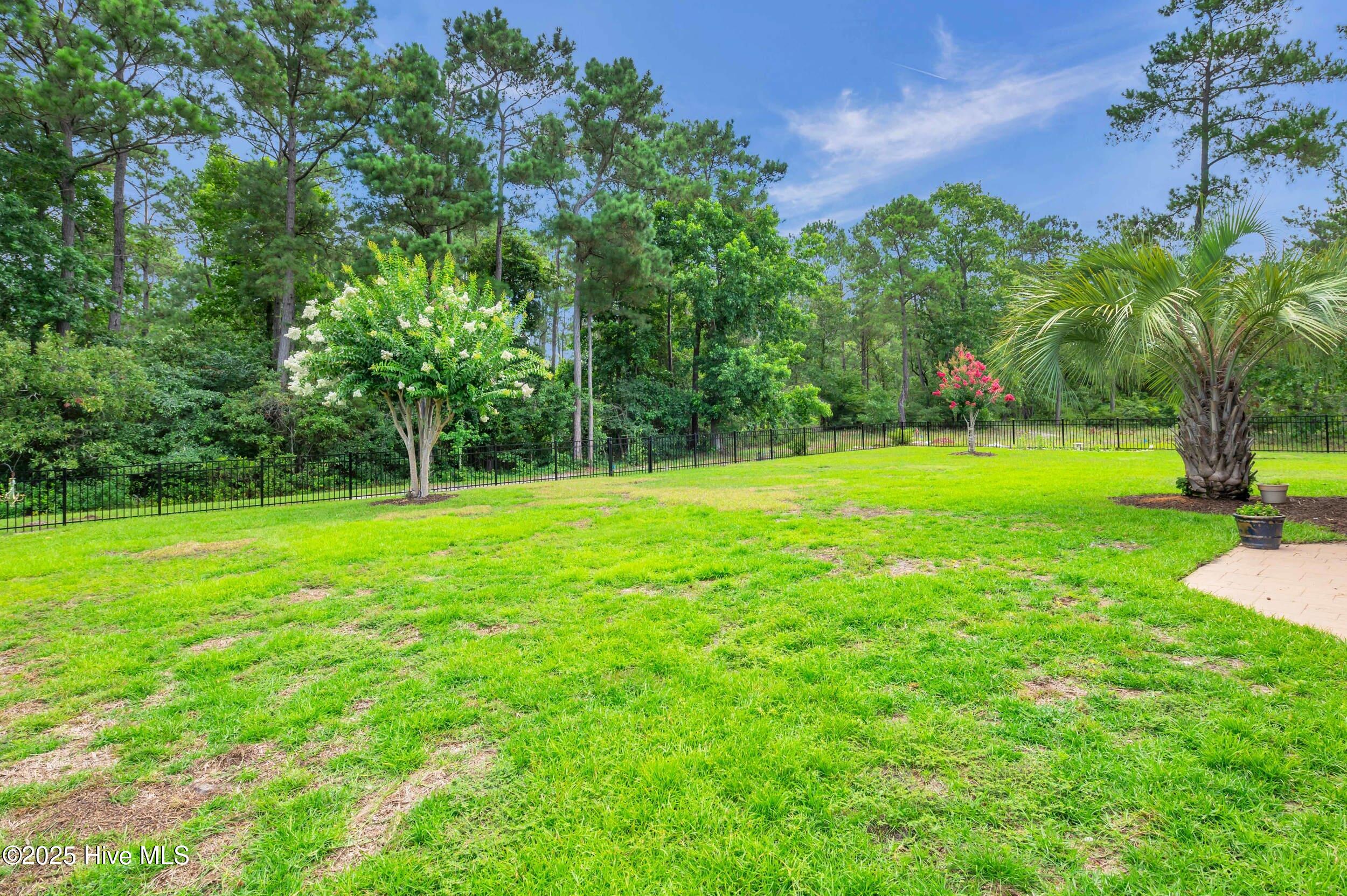 100517542 | Photo 46