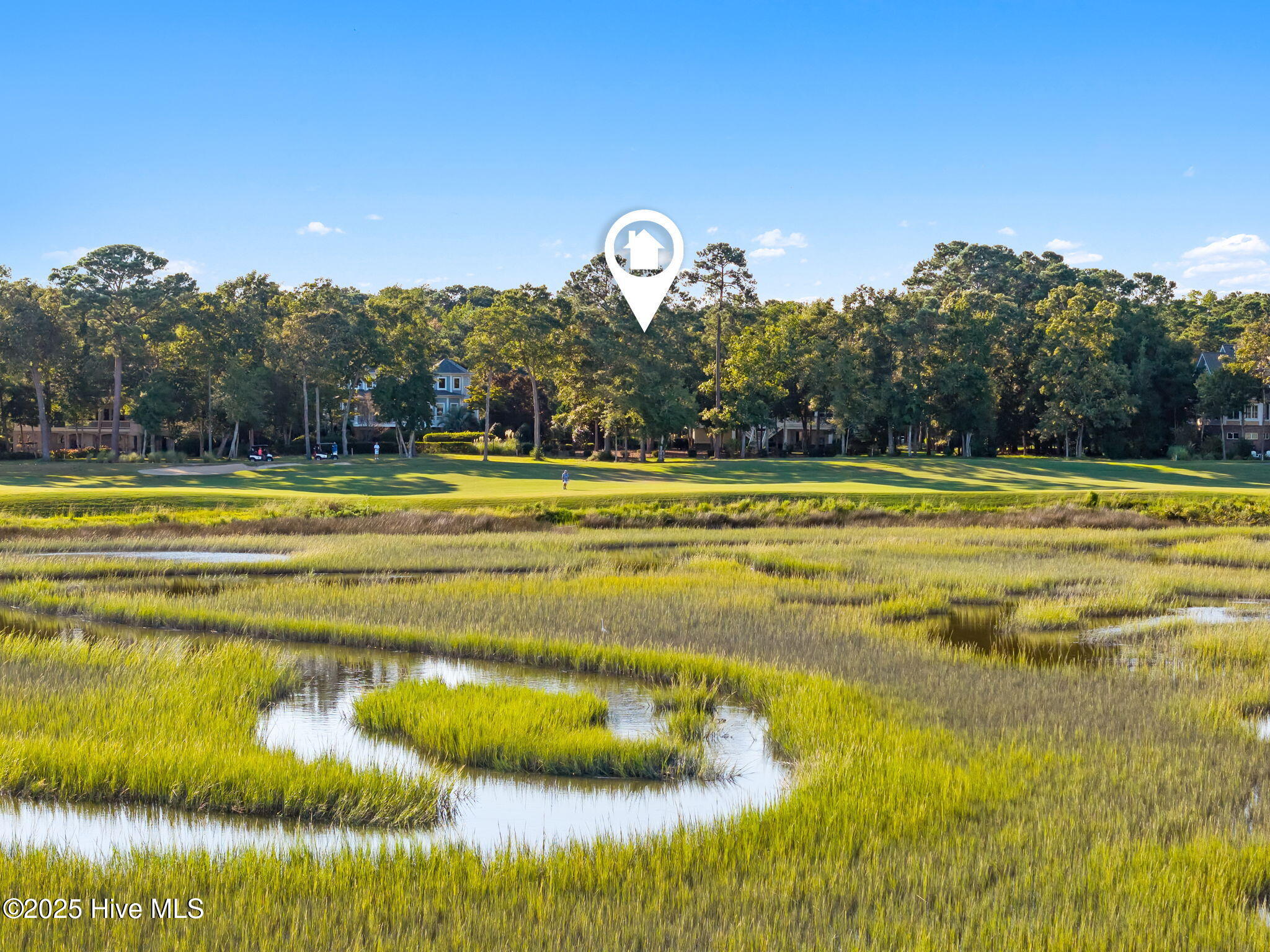 100530249 | Photo 11