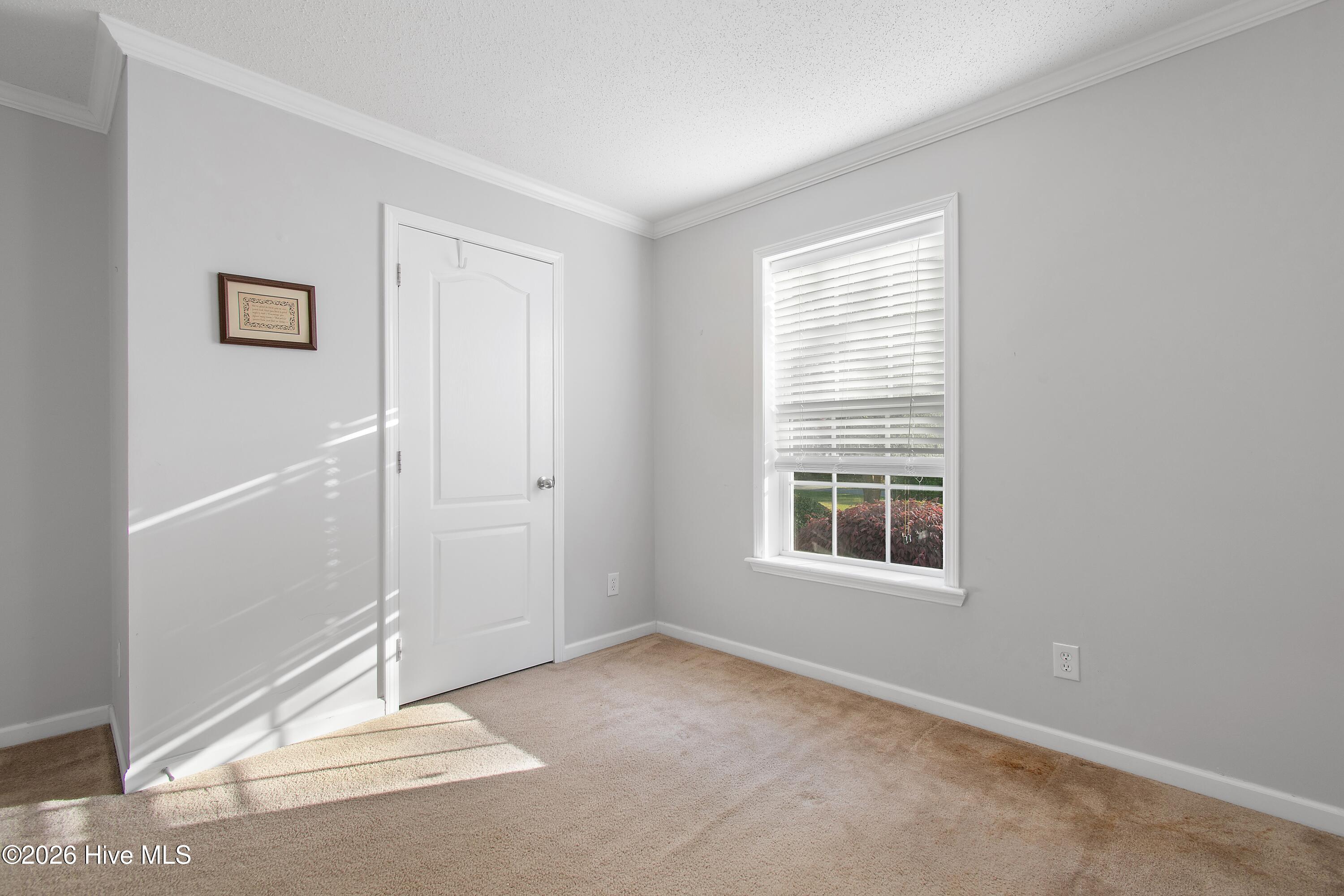 100568231 | Photo 46