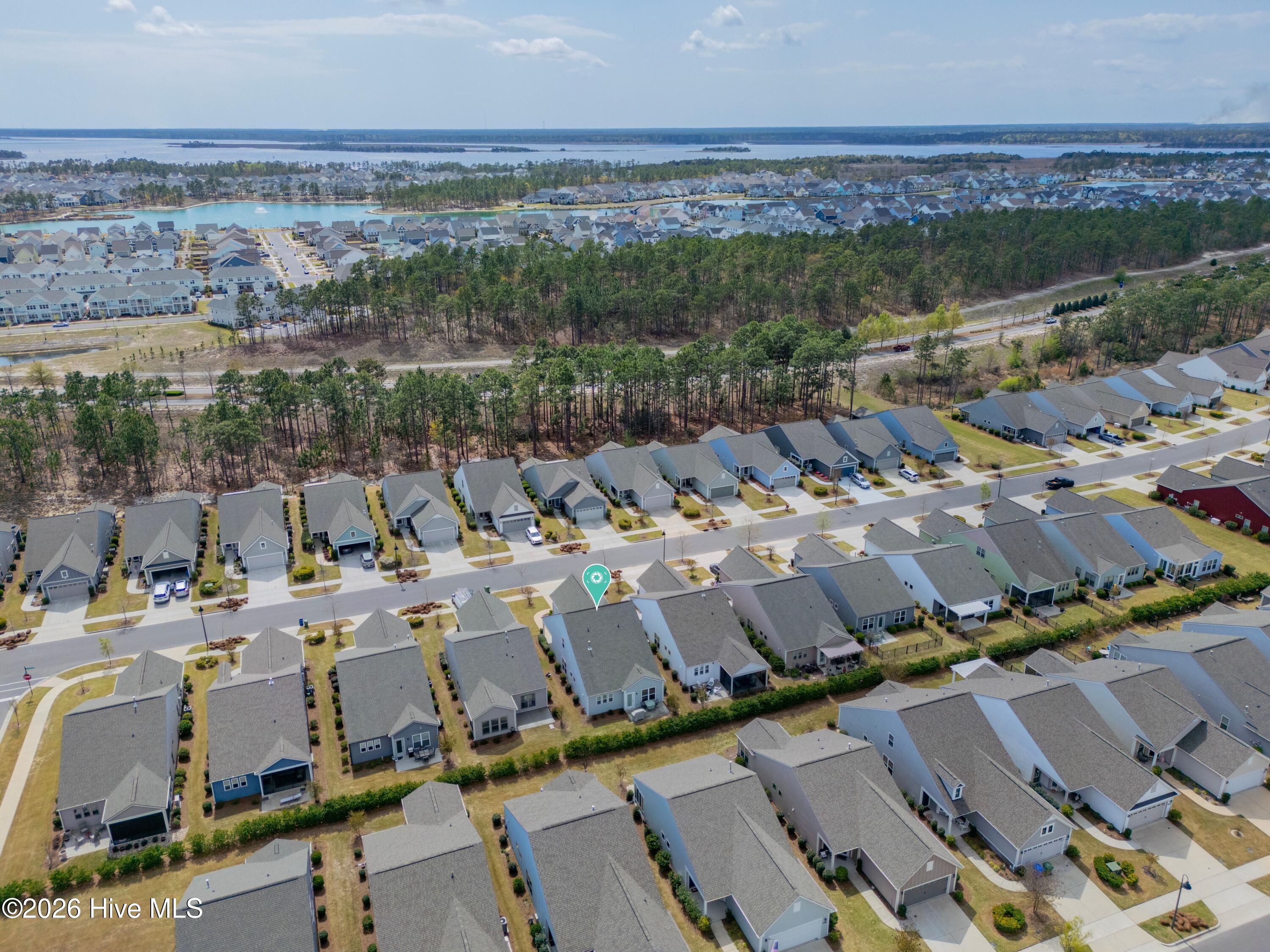 100561107 | Photo 35