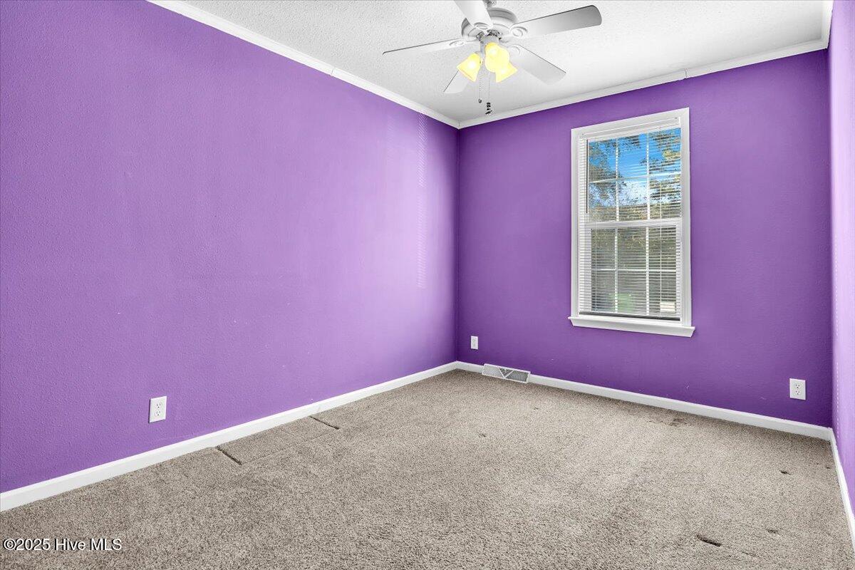 100543135 | Photo 25