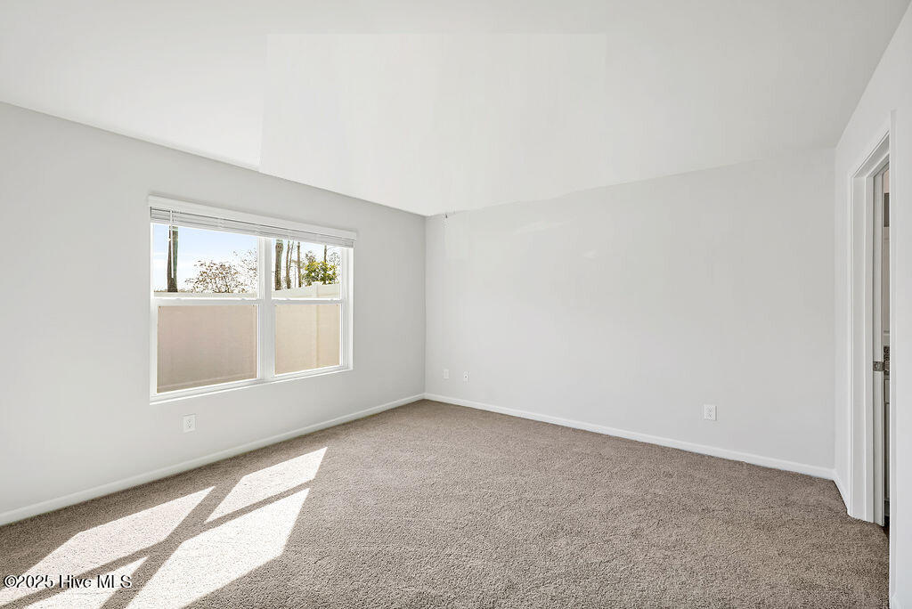 100520543 | Photo 19