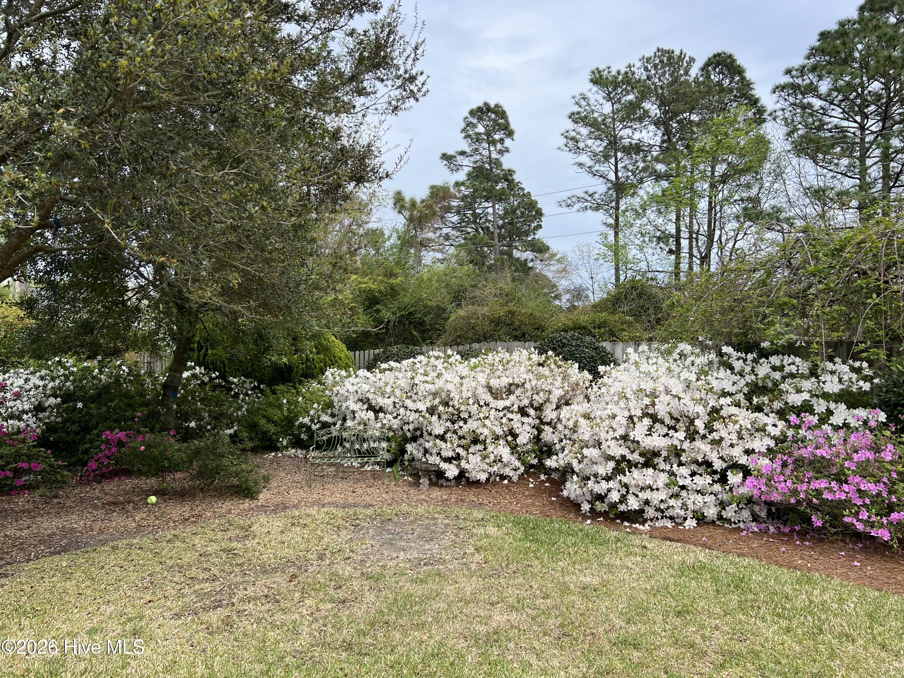 100556921 | Photo 57