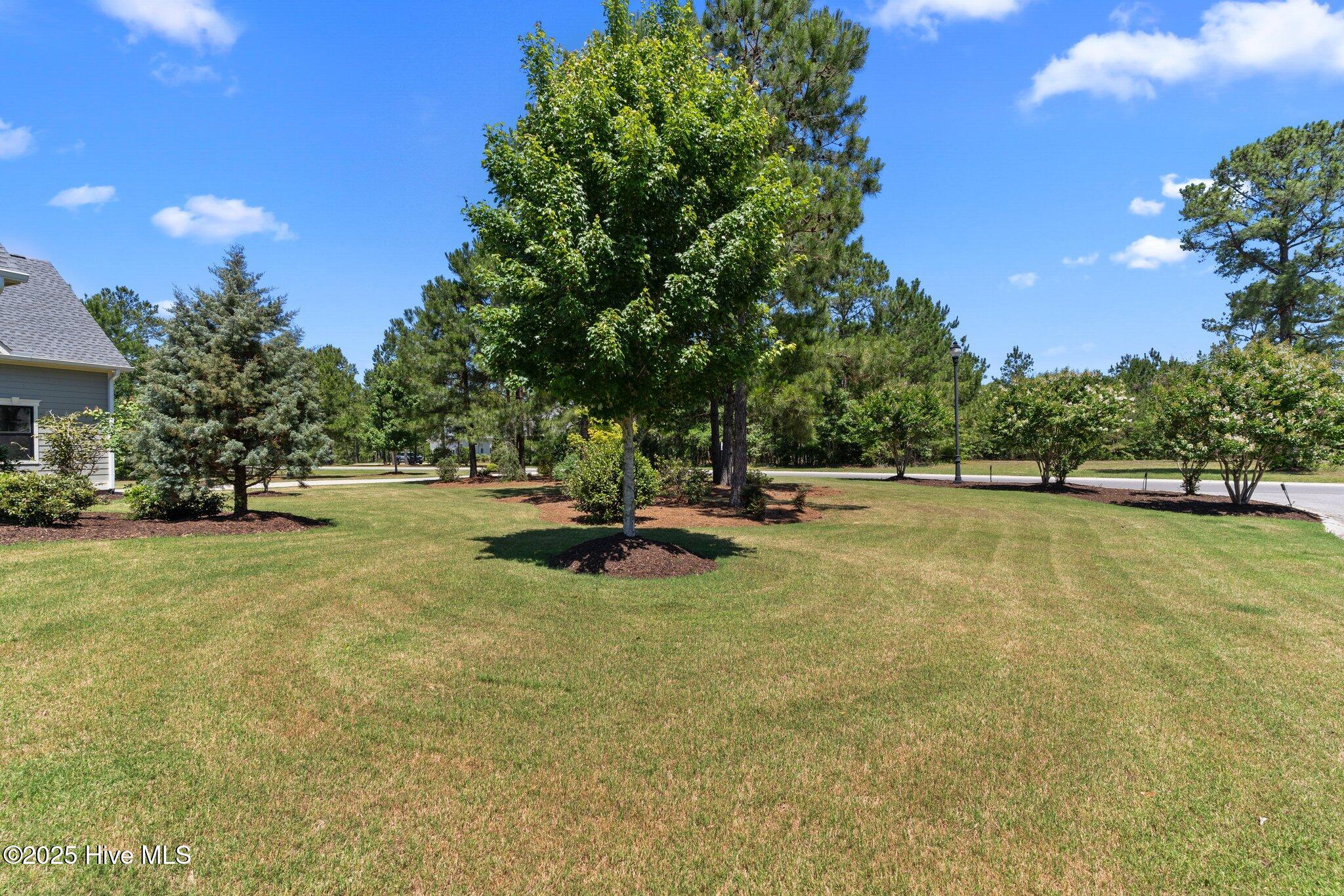 100510786 | Photo 63