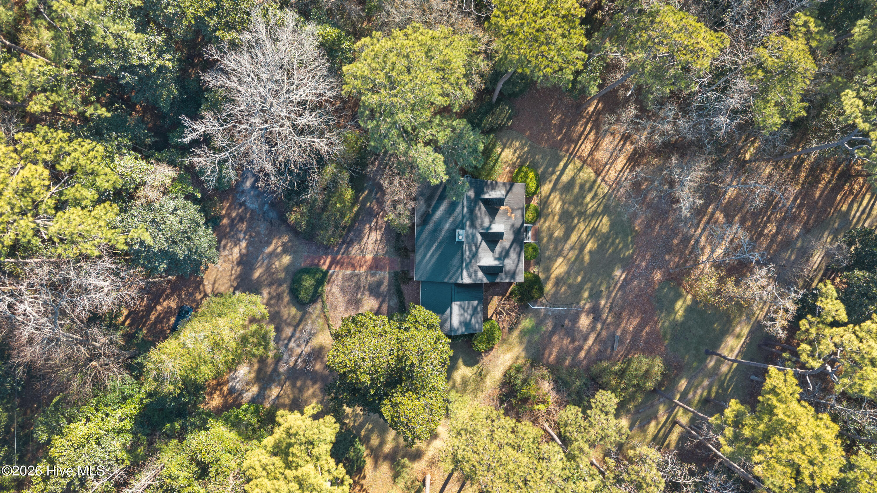 100554424 | Photo 22