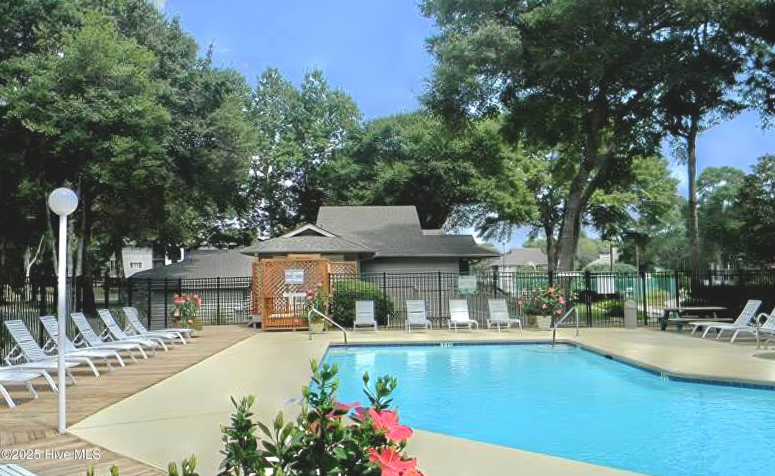 100555696 | Photo 32