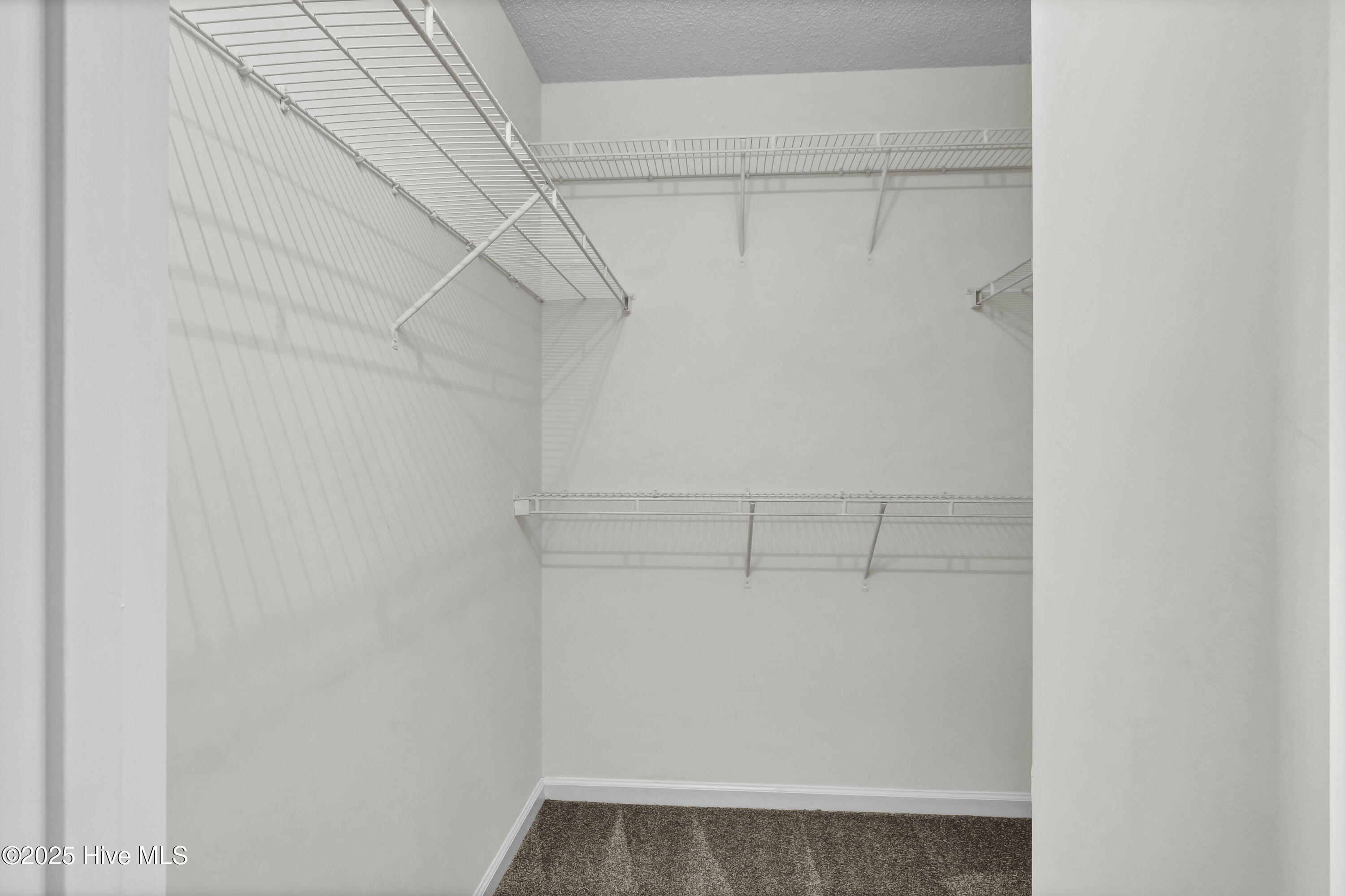 100540717 | Photo 18