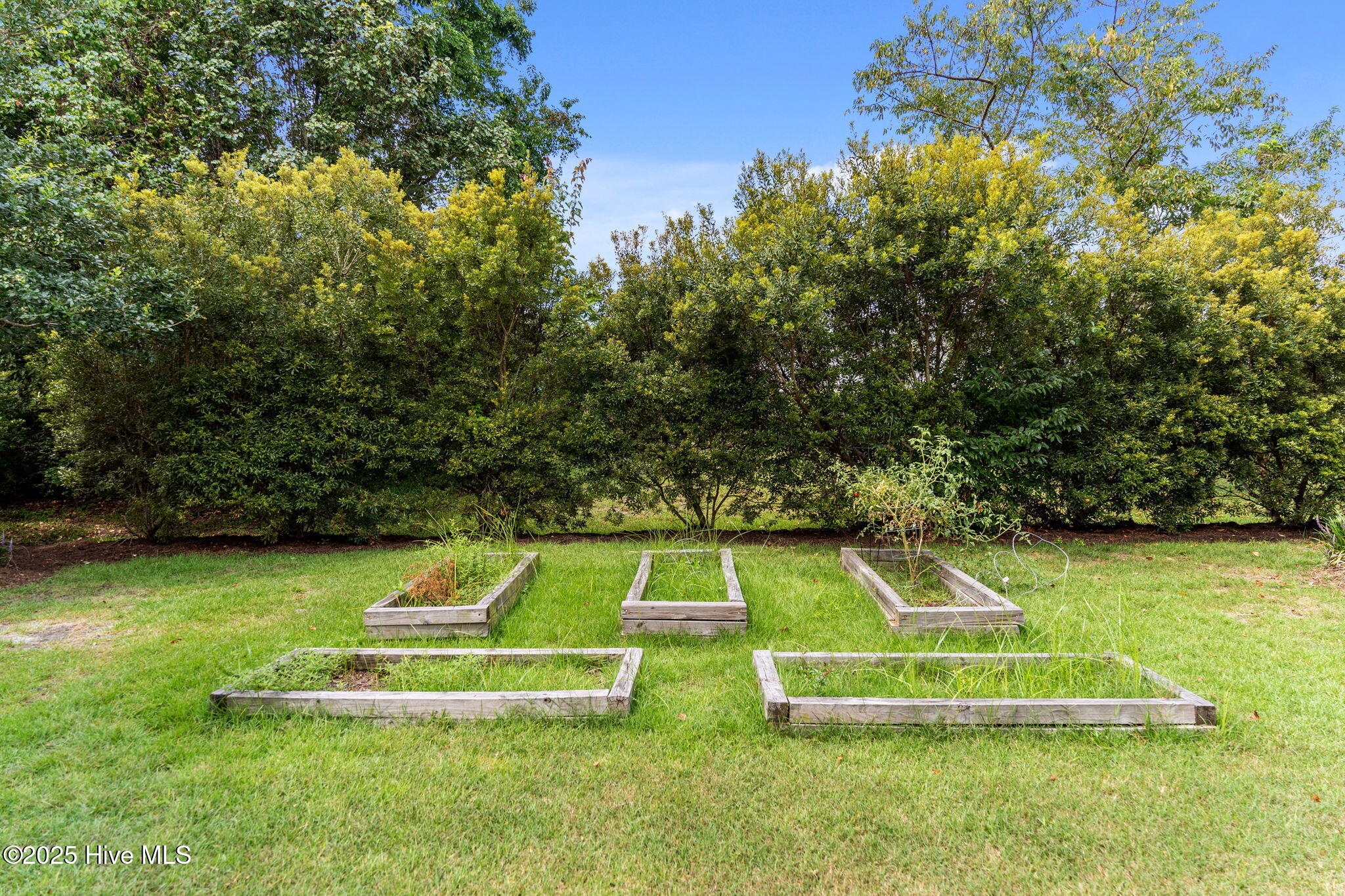 100526886 | Photo 46