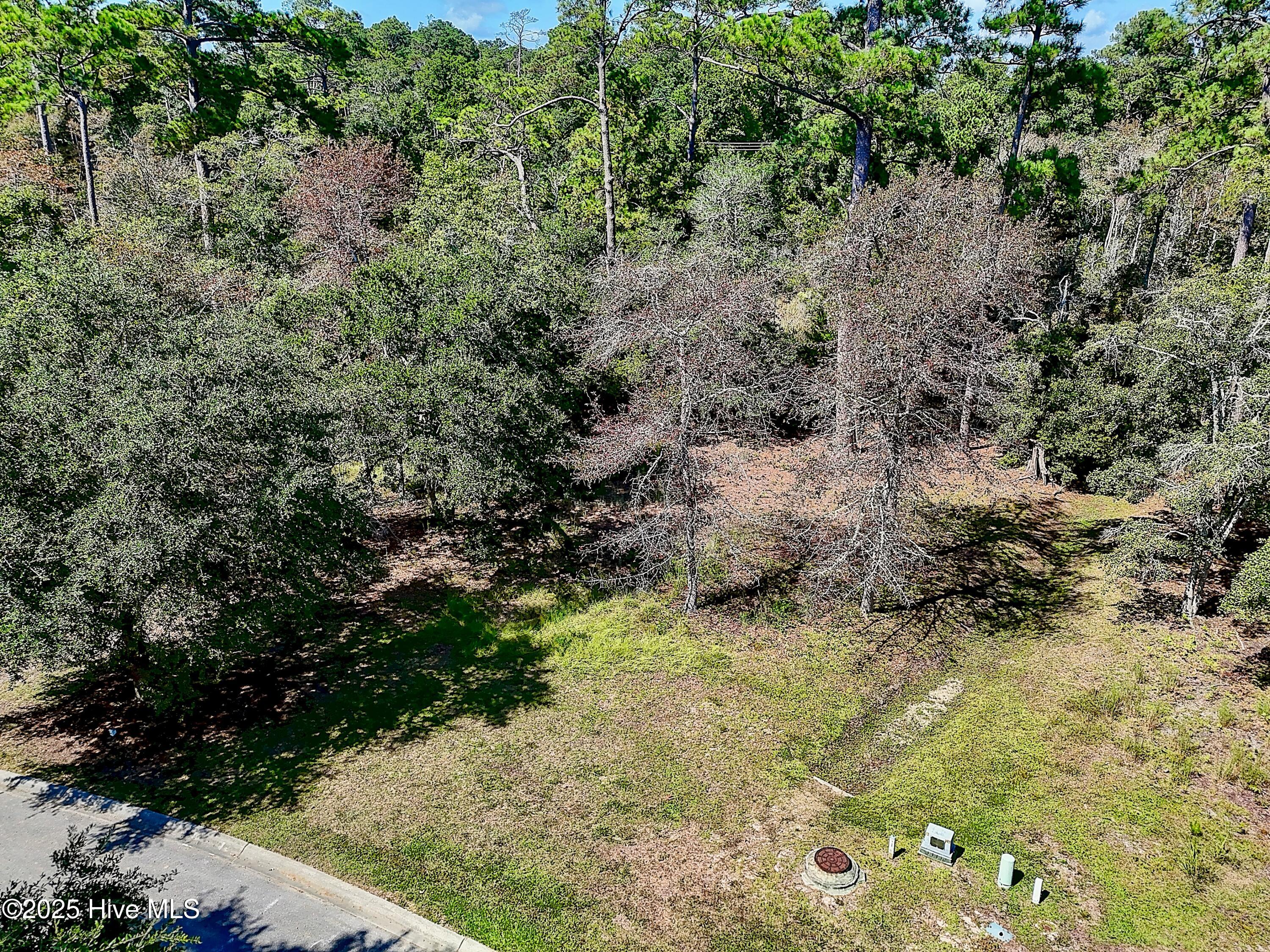 100533379 | Photo 10