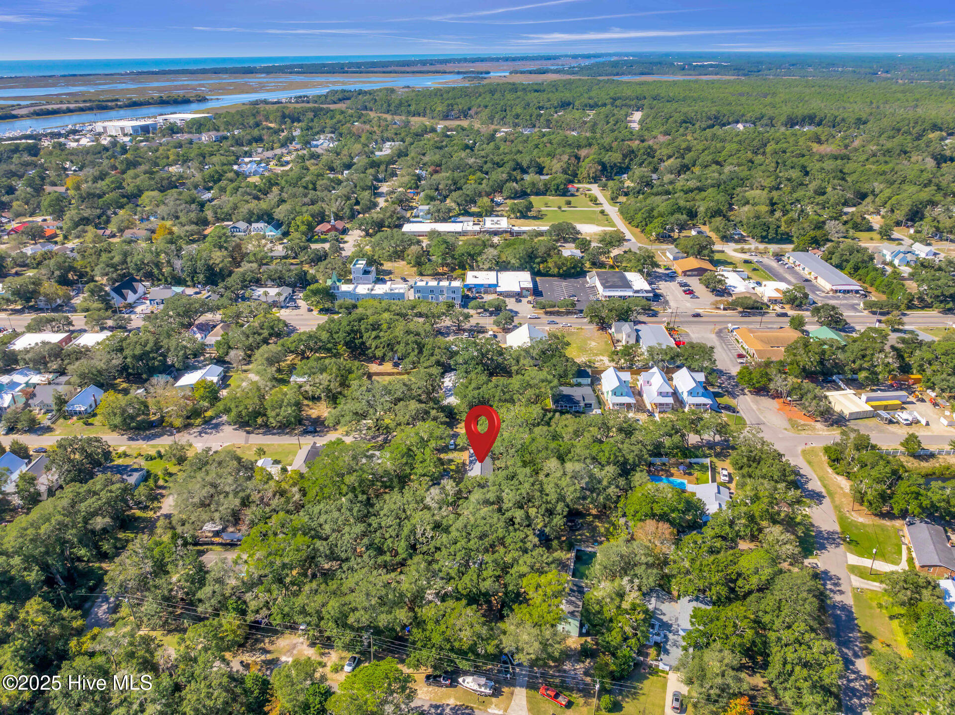 100538274 | Photo 51