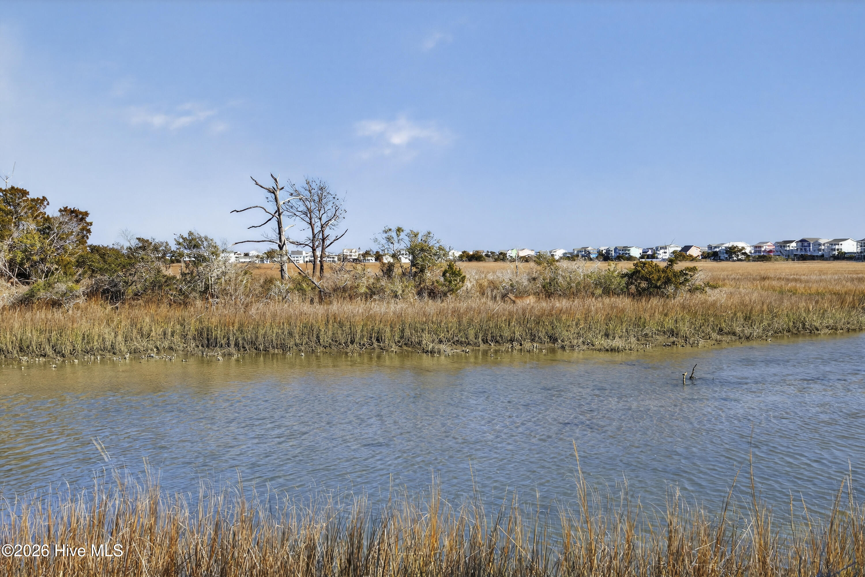 100554981 | Photo 42