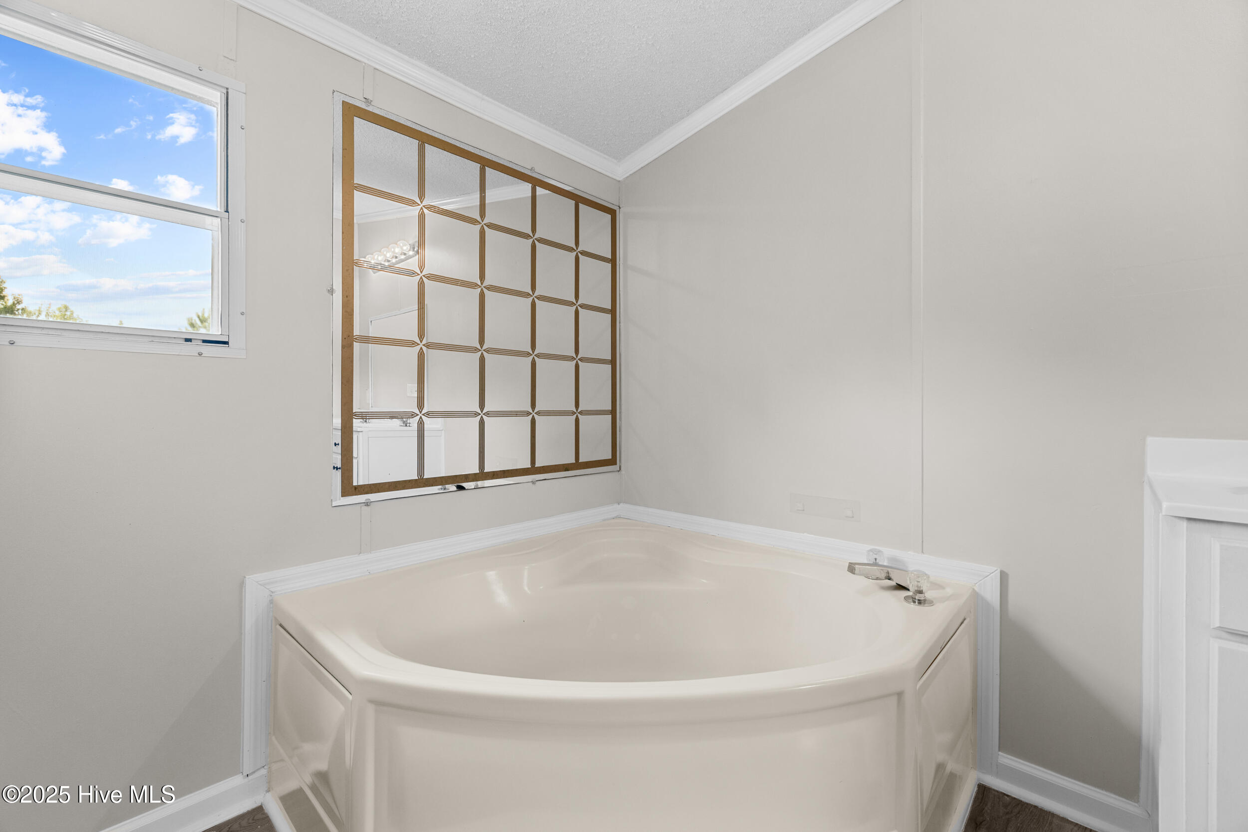 295 Francktown Road, Richlands, NC 28574 – photo 24: 025a3385