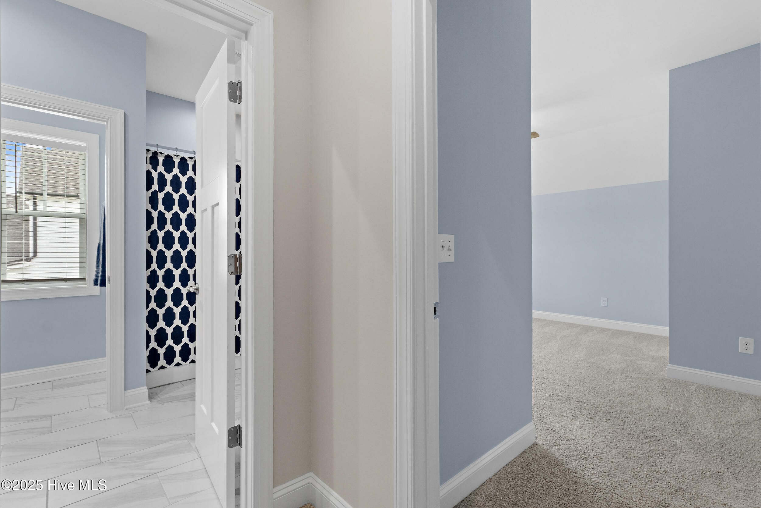 100536261 | Photo 31