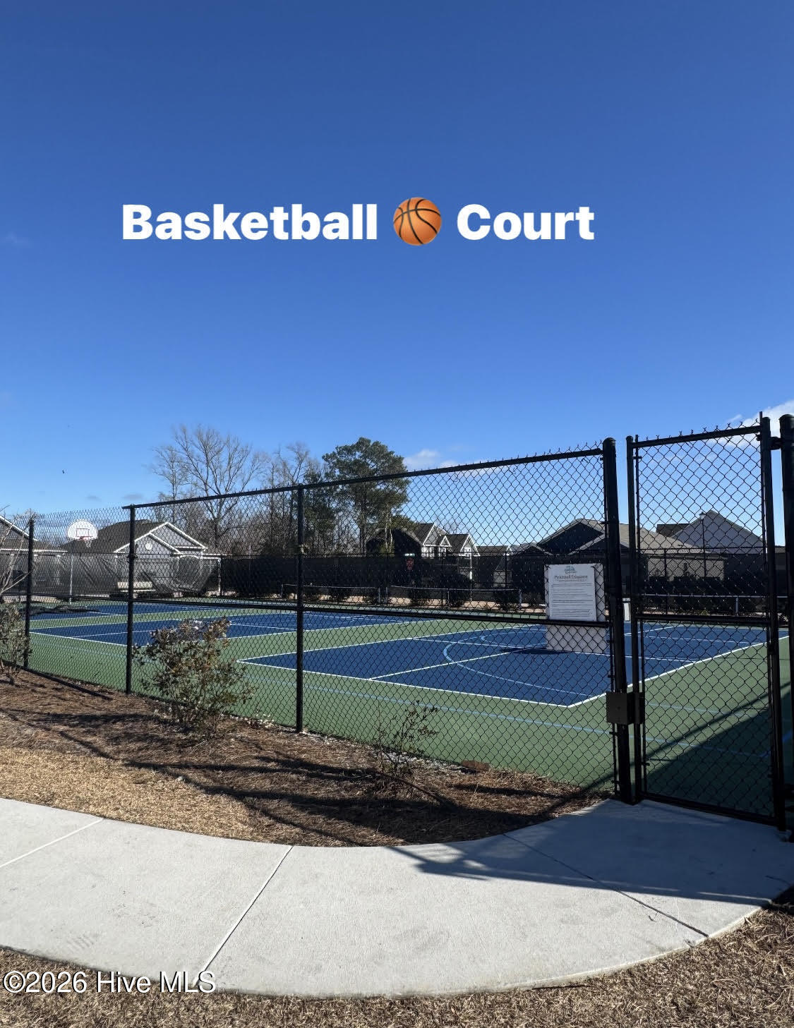 100558914 | Photo 31