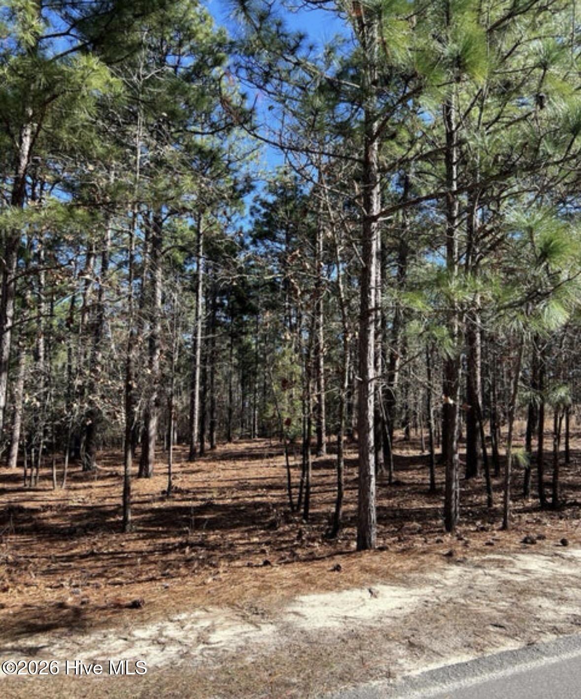 0 Acl Boulevard, Savannah, GA, 31405