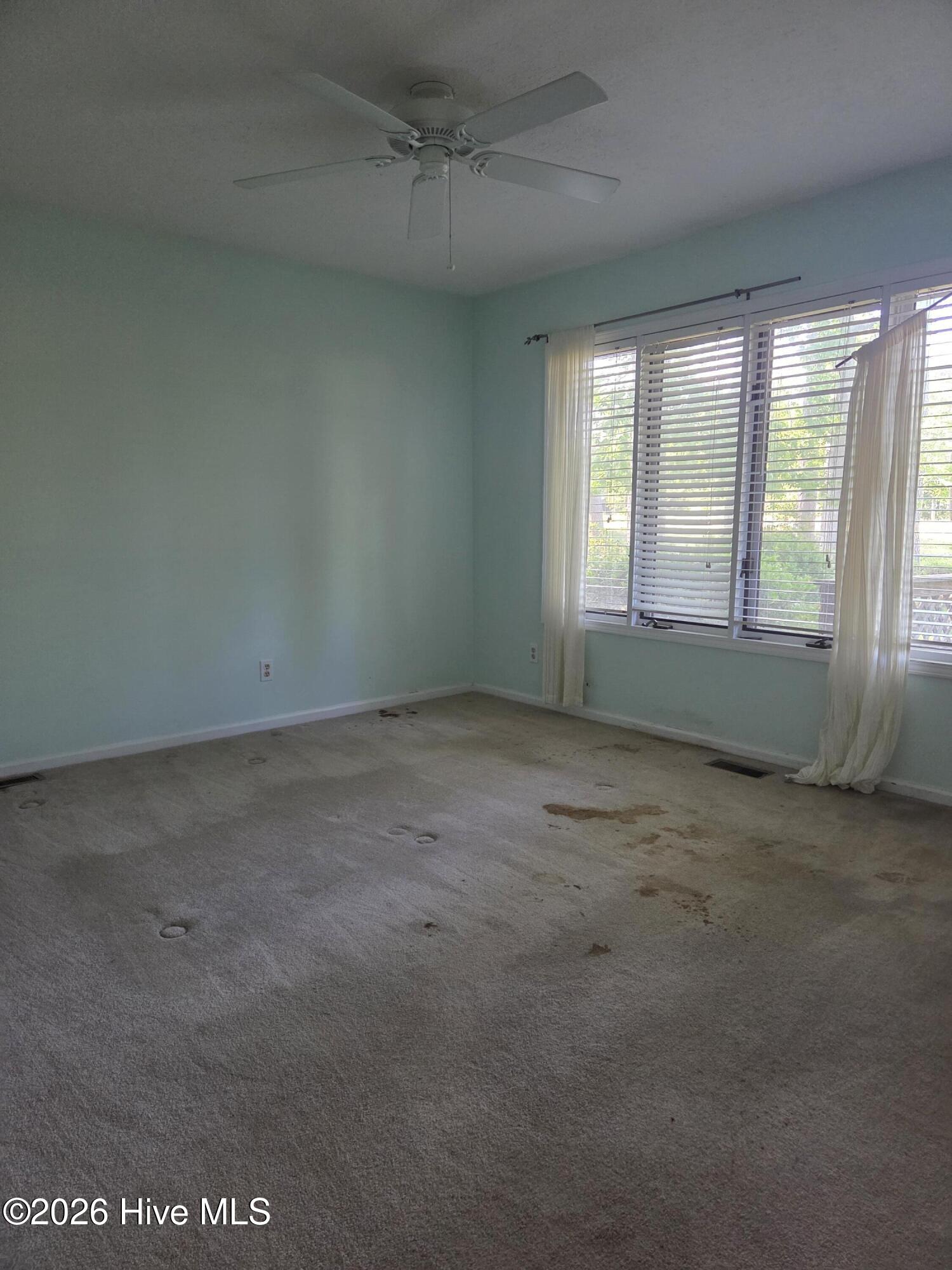 100568652 | Photo 23