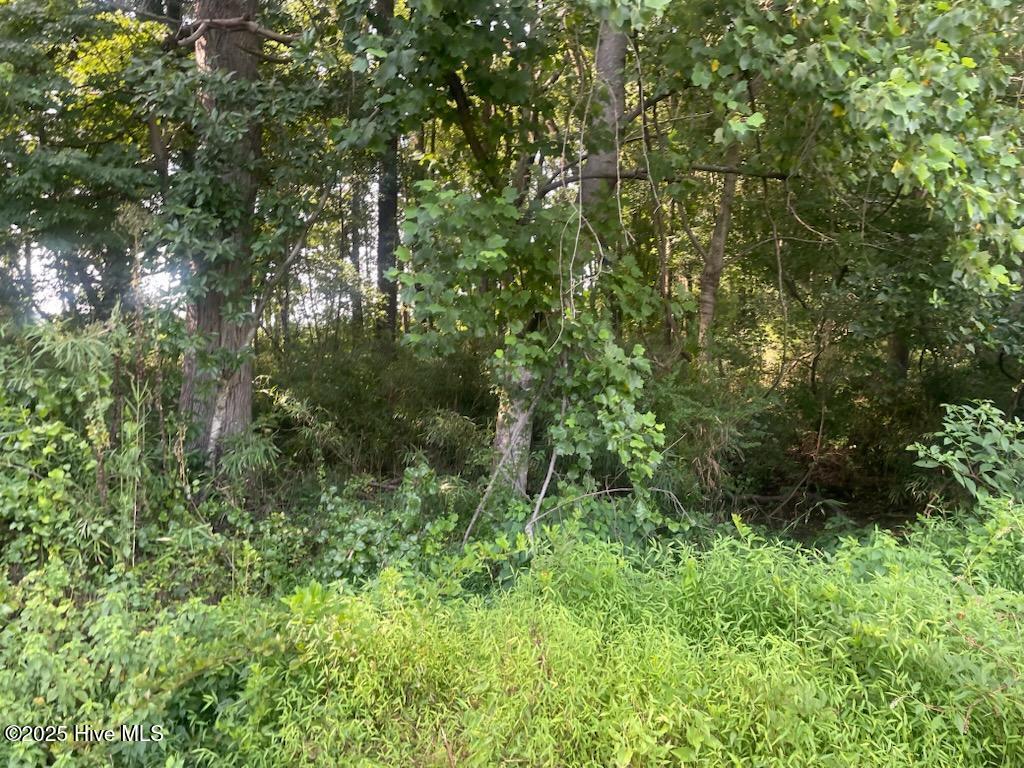 0000 Hill Road, Smithfield, NC, 27577