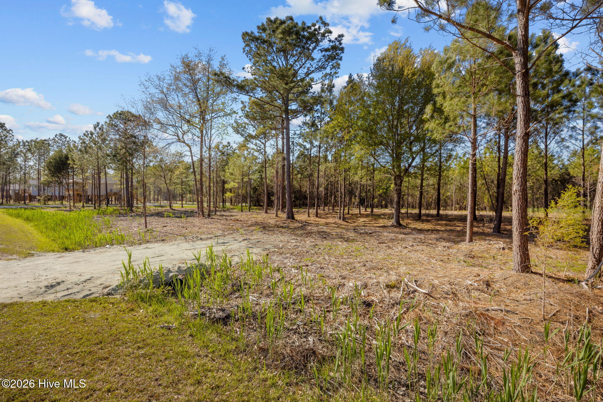 699 45 Vandemere Creek Drive,Vandemere