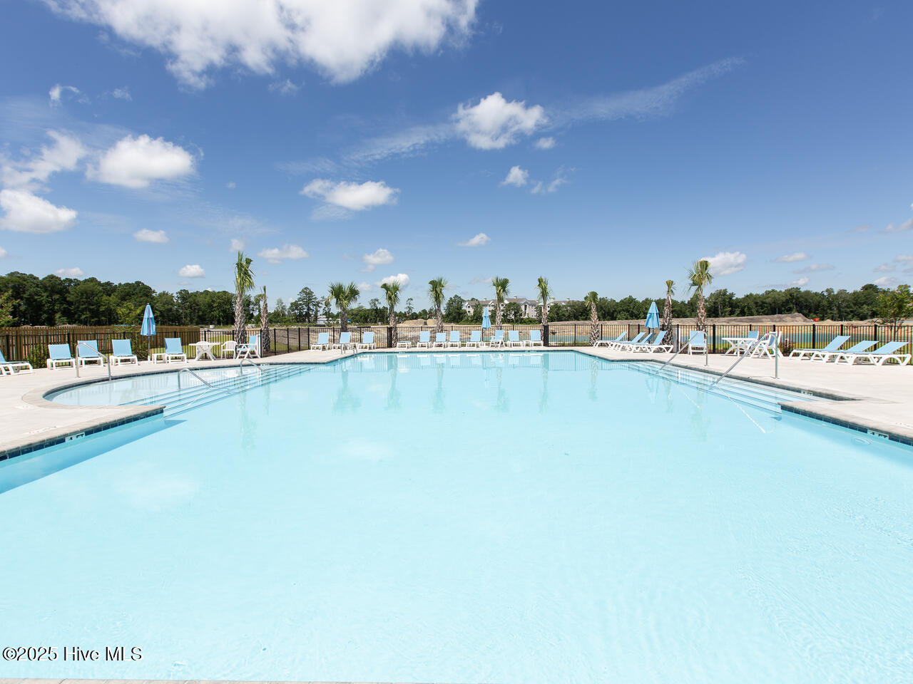 100512595 | Photo 41