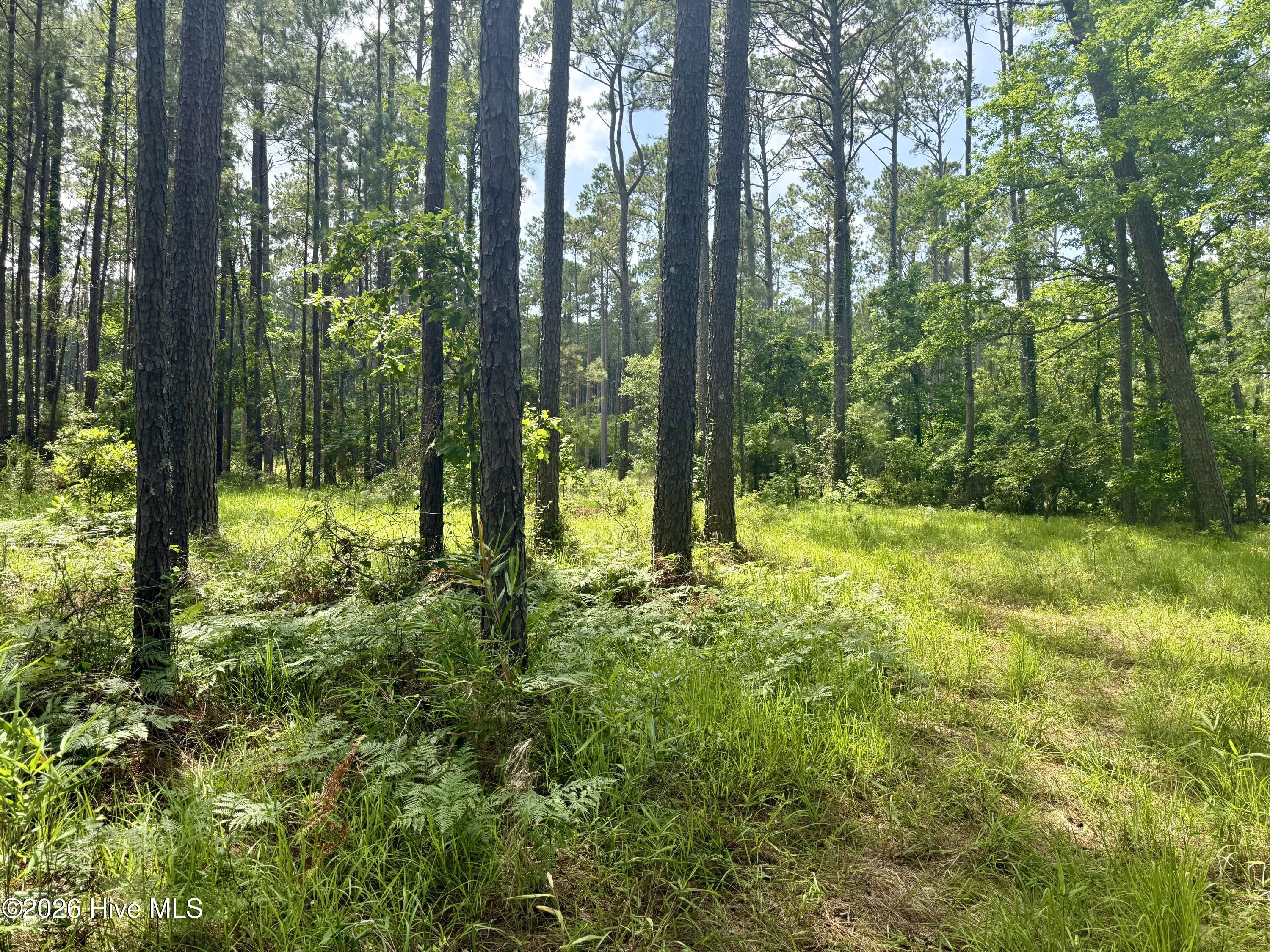 558 Sandy Point 