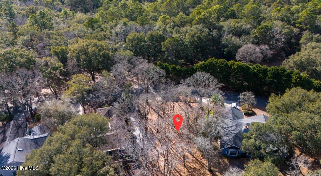 100554365 | Photo 13