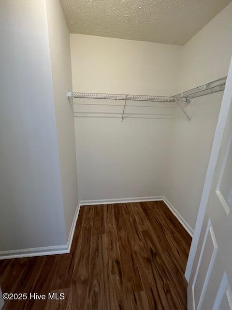 100539070 | Photo 29